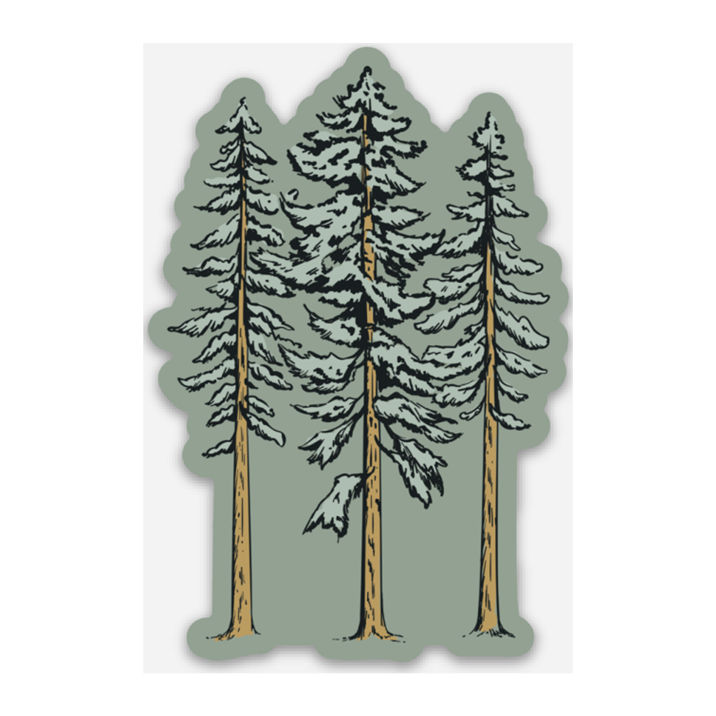 trees | Rosemary's Blog