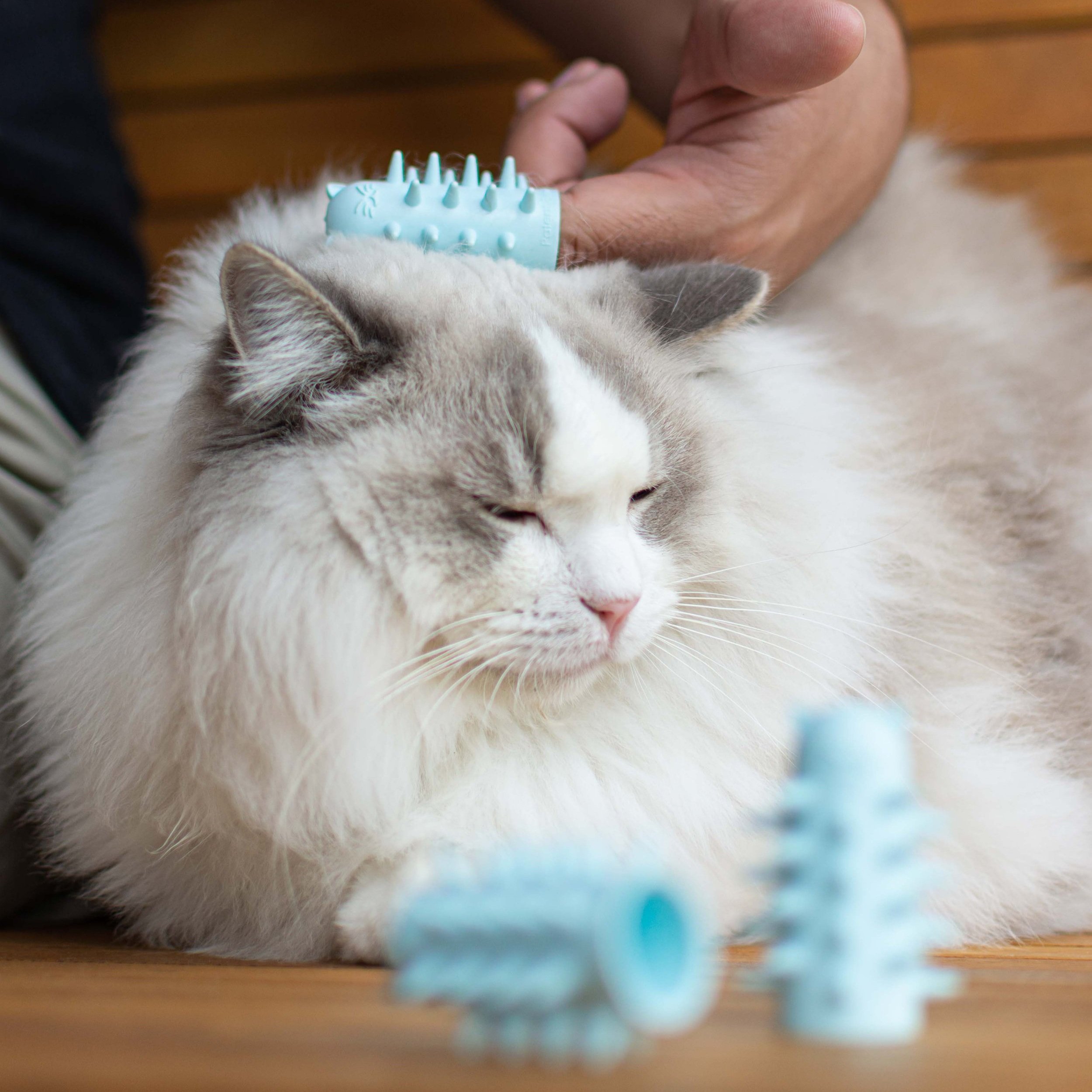 FURR&PURR MASCOSTA-14.jpg