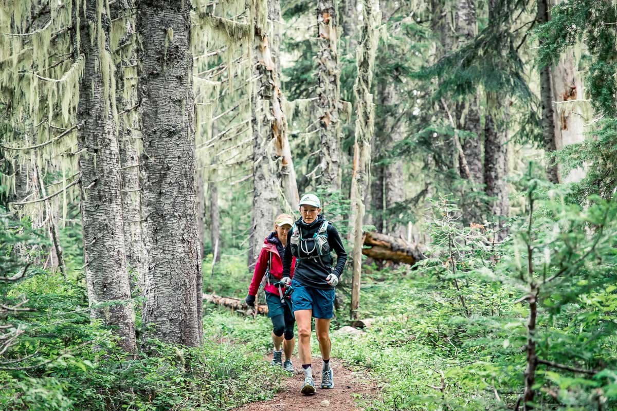  Two runners in a forest surrounded by mossy trees and trails 