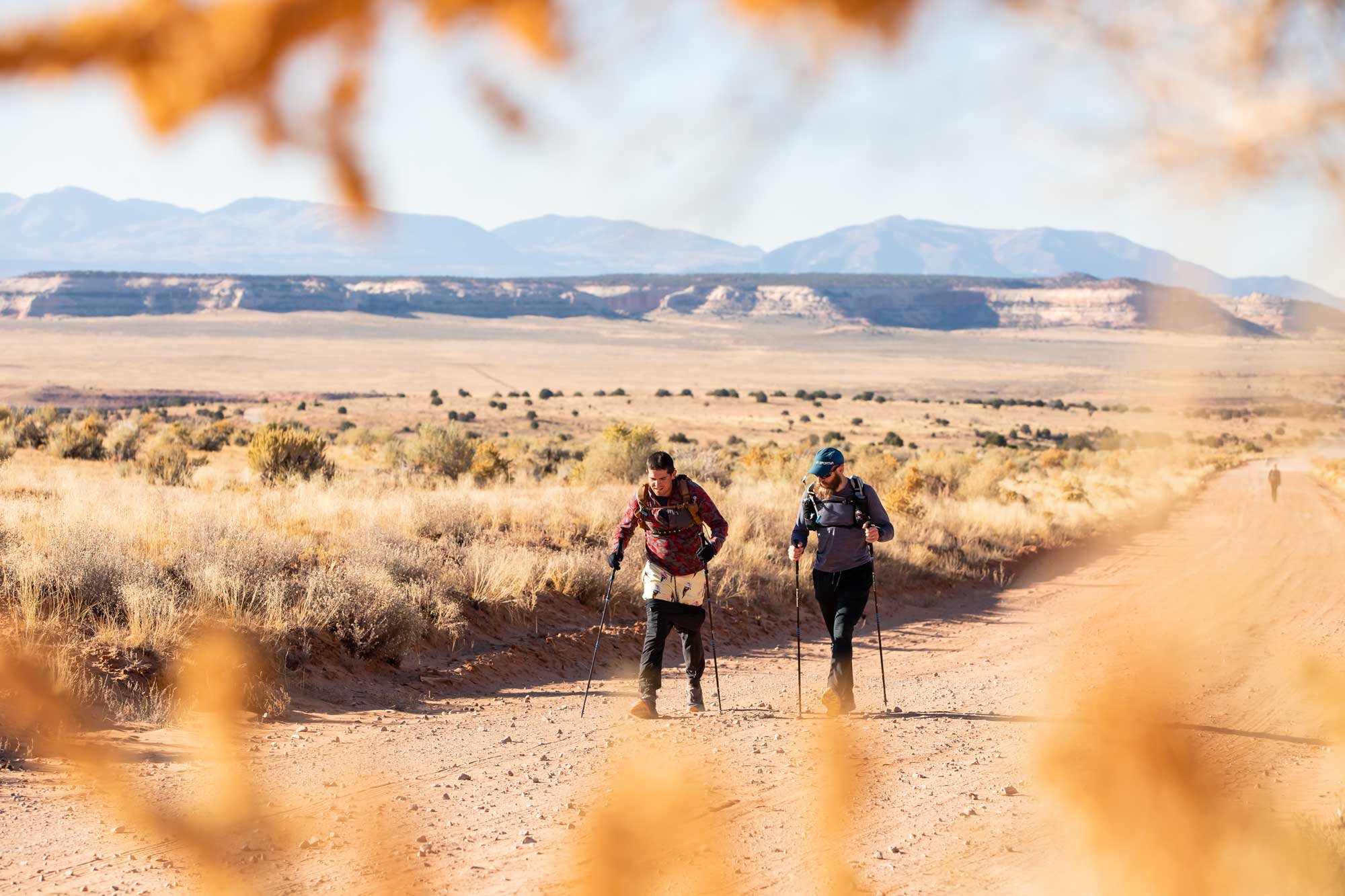  A desert landscape through fall foliage as two runners pass by 