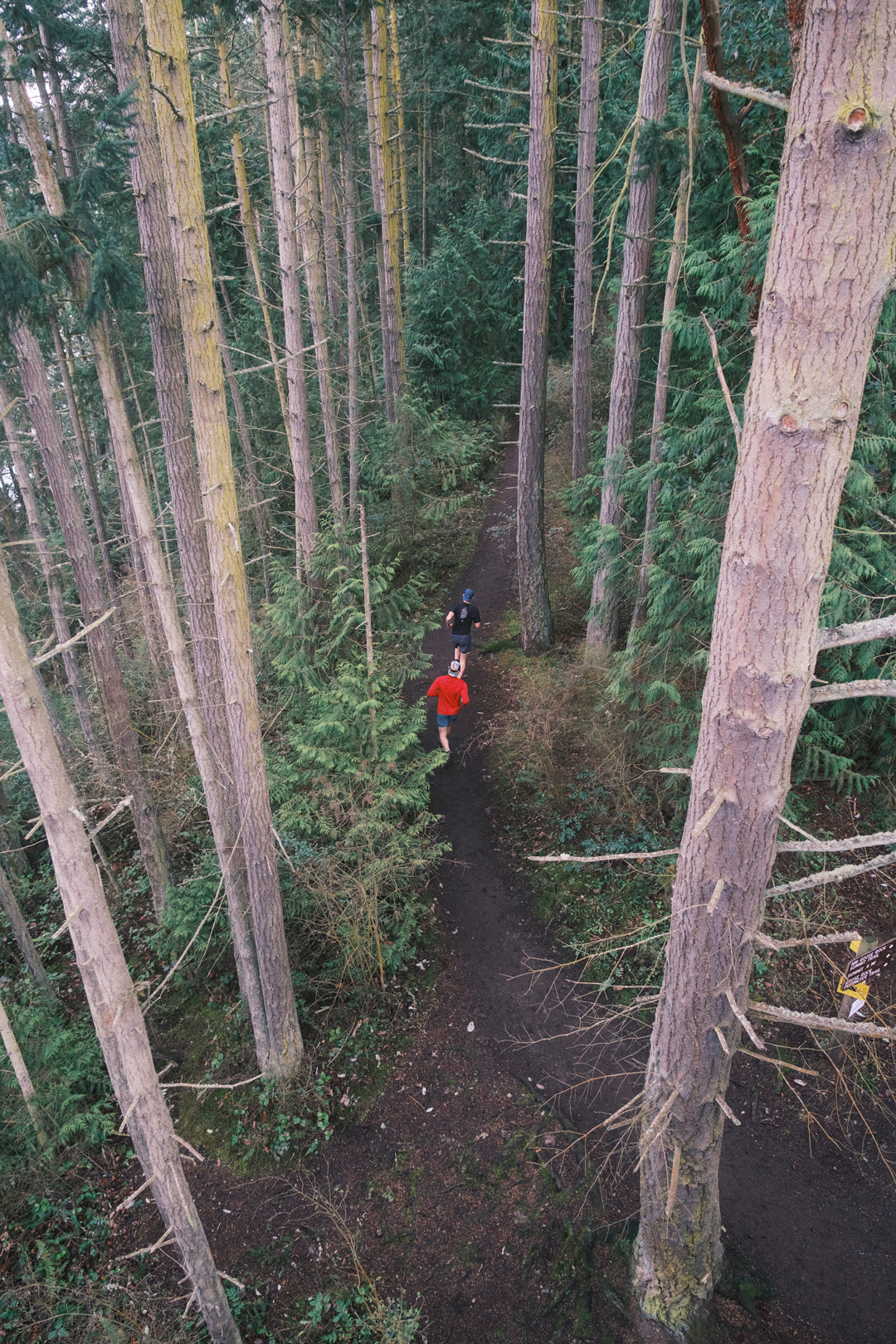  A birds-eye perspective of a runner in the forest 