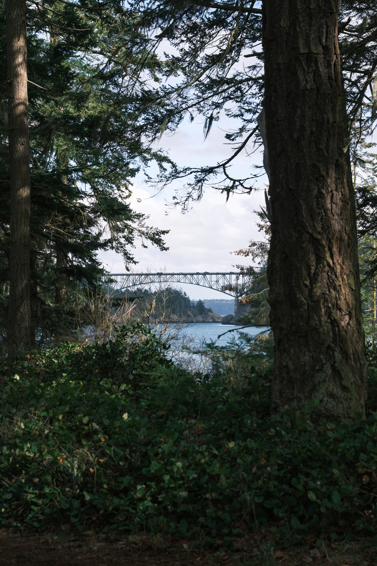  A scenic shot of the coast at Deception Pass State Park 