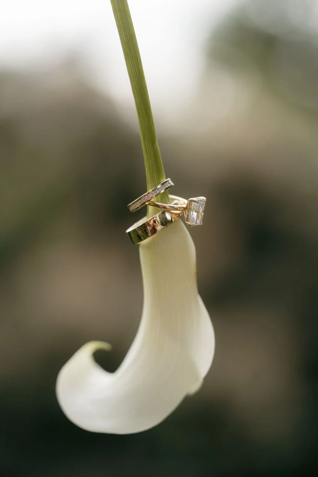 G&J_WeddingTeasers_-1.jpg