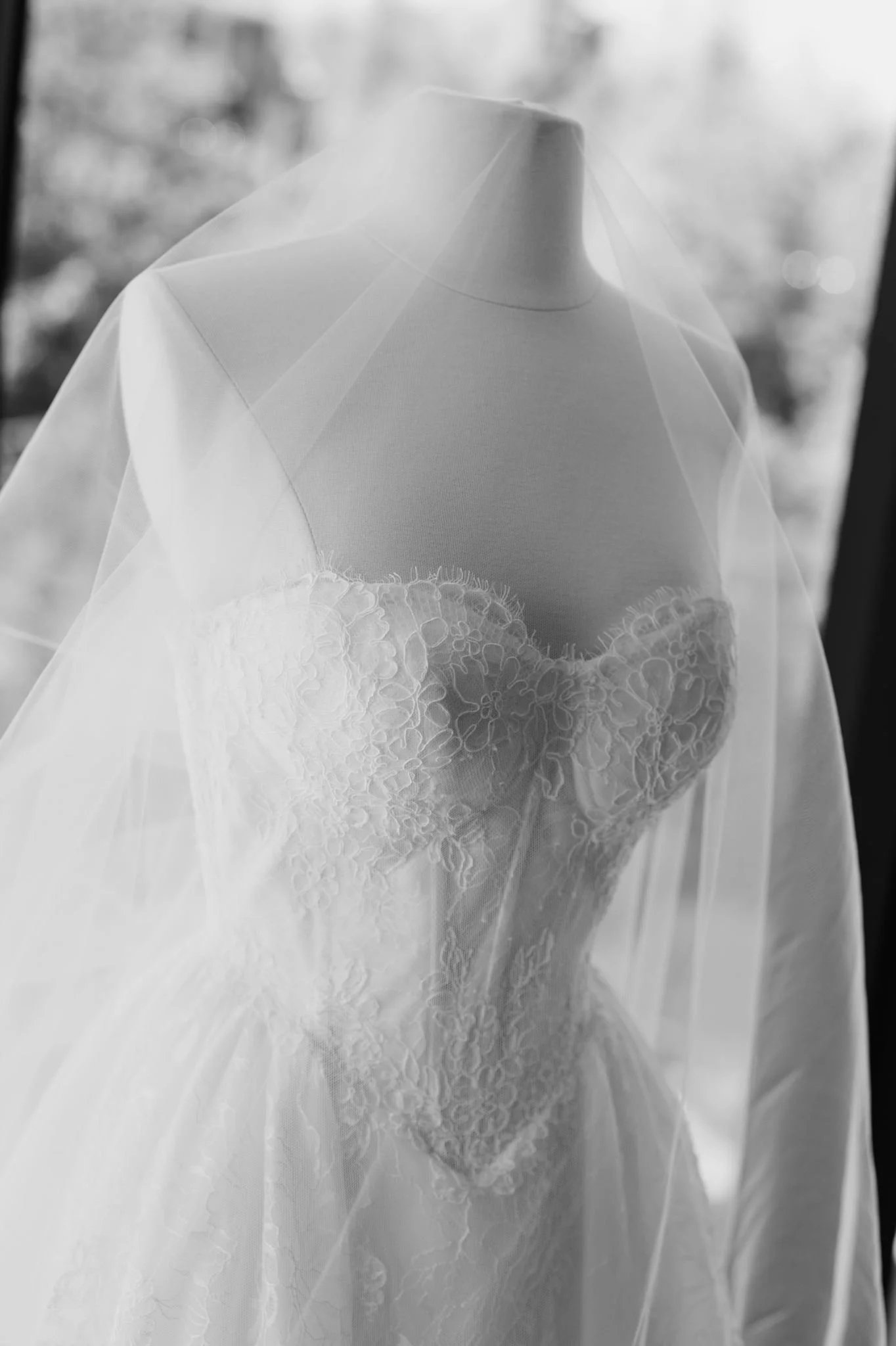 MangoStudios-SP-J&N-002-VZG_4196.jpg