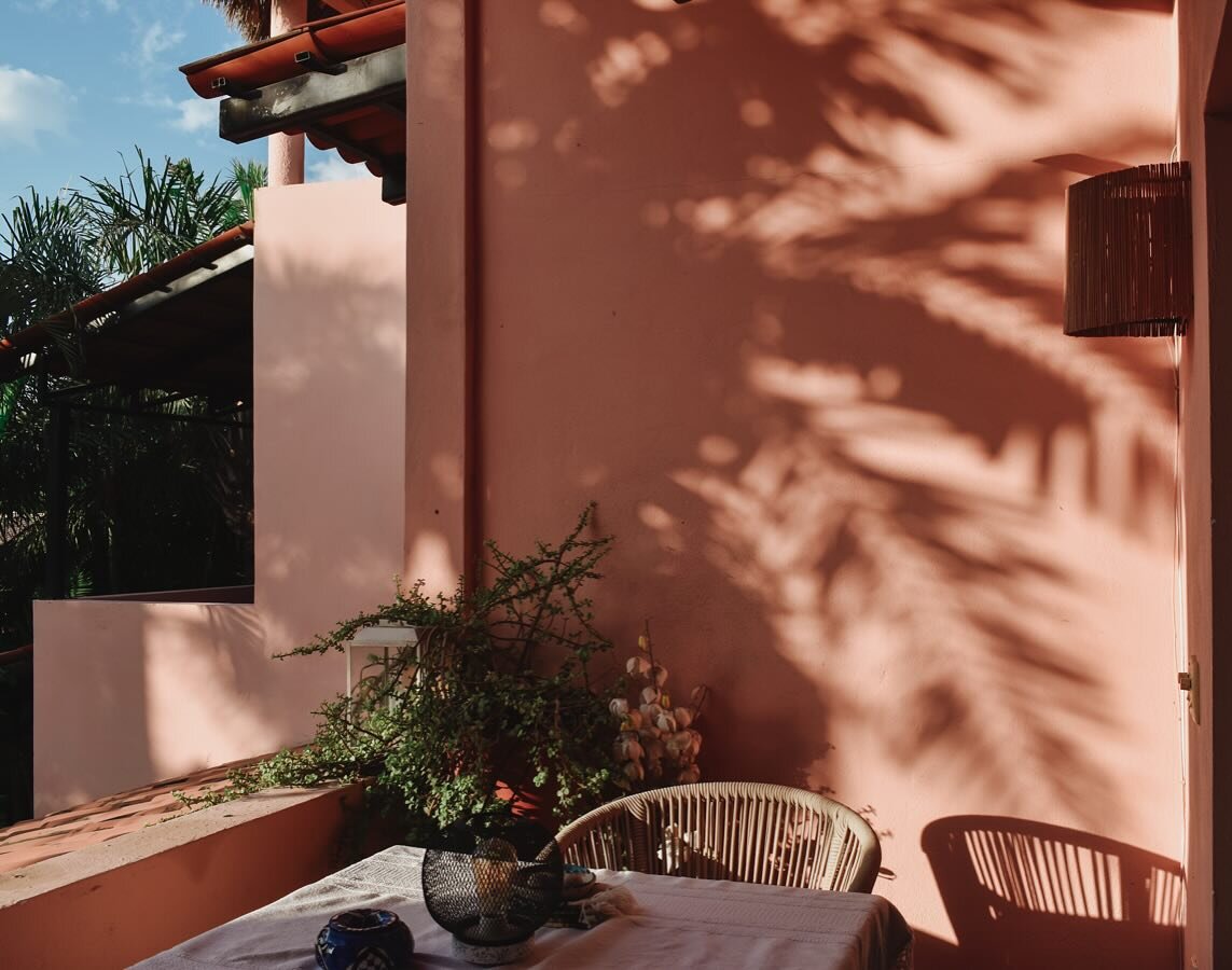 Buenos dias ☀️the beauty of our casa shines at any hour, but the mornings are something special. Morning light filters through the palms and creates a masterpiece of shadow and light on our pale pink walls. Each day greeted with a new canvas, a daily