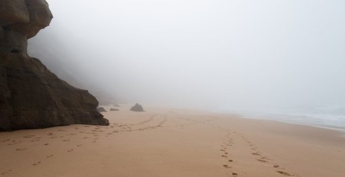 What A Foggy Beach Run Taught Me About Managing Uncertainty