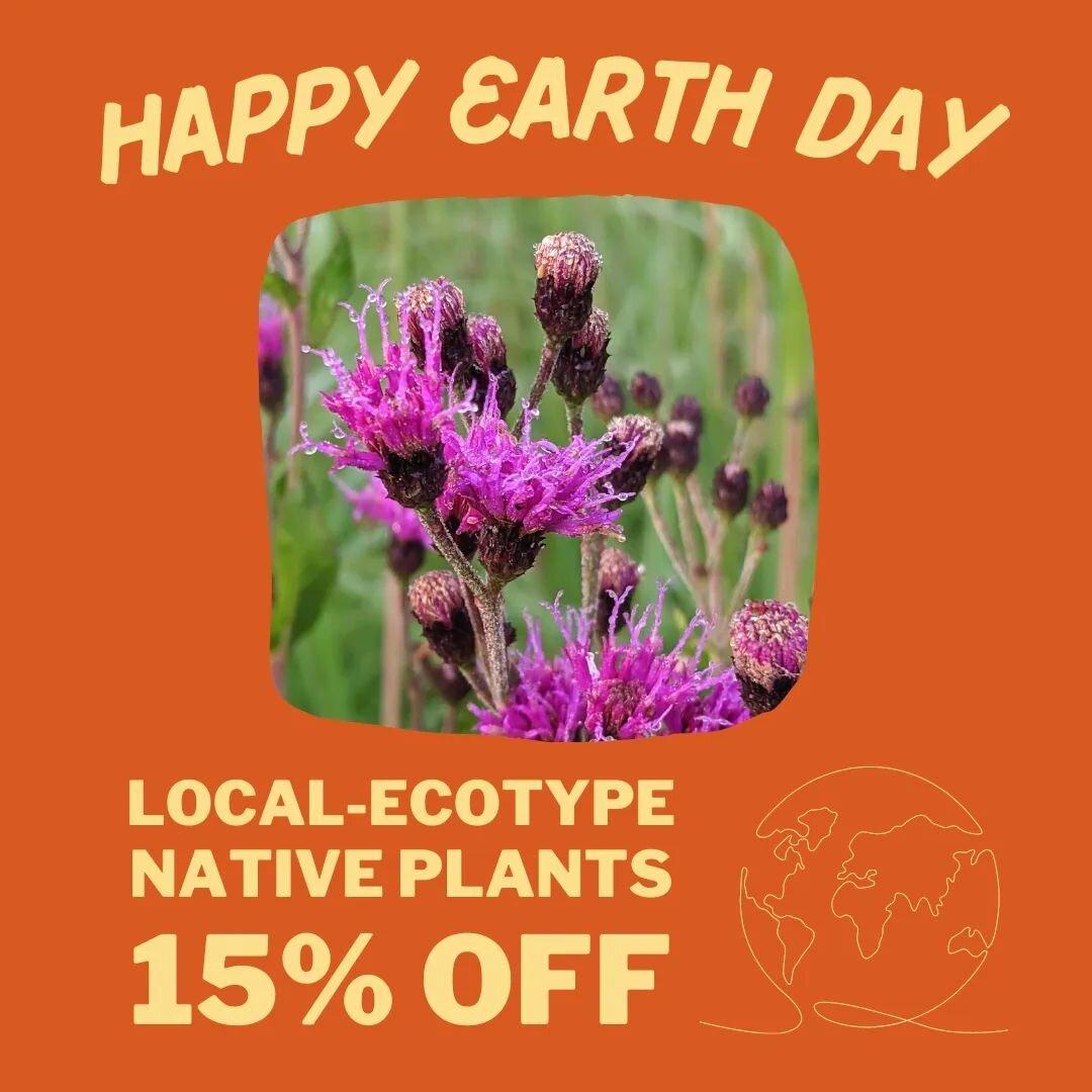 Happy Earth Day!

The simplest thing you can do to support your local ecosystems is to restore local-ecotype native plants to the landscape.  That landscape can be as large as your backyard or as small as a pot on your balcony.

Our entire Native Pla