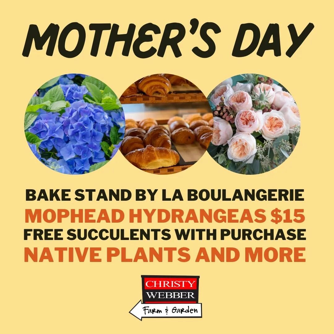 Stop by CWFnG this Mother's Day weekend!  We'll have specials running all weekend, including a bake stand run by our guests @laboulangeriechicago on Sunday.

#mothersday #plantshop #croissant #humboldtparkchicago #westtownchicago #ukranianvillagechic