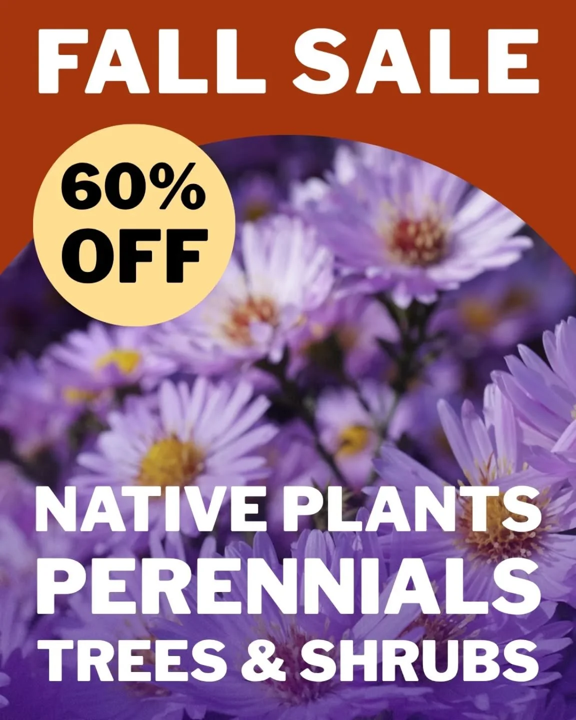 STARTS THIS WEEKEND, 10/17/25 (while supplies last)! Our entire south yard will be 60% OFF for our final big sale of the season.  Come get native plants, ornamental perennials, trees and shrubs at deep discounts and help us clear the yard for the hol