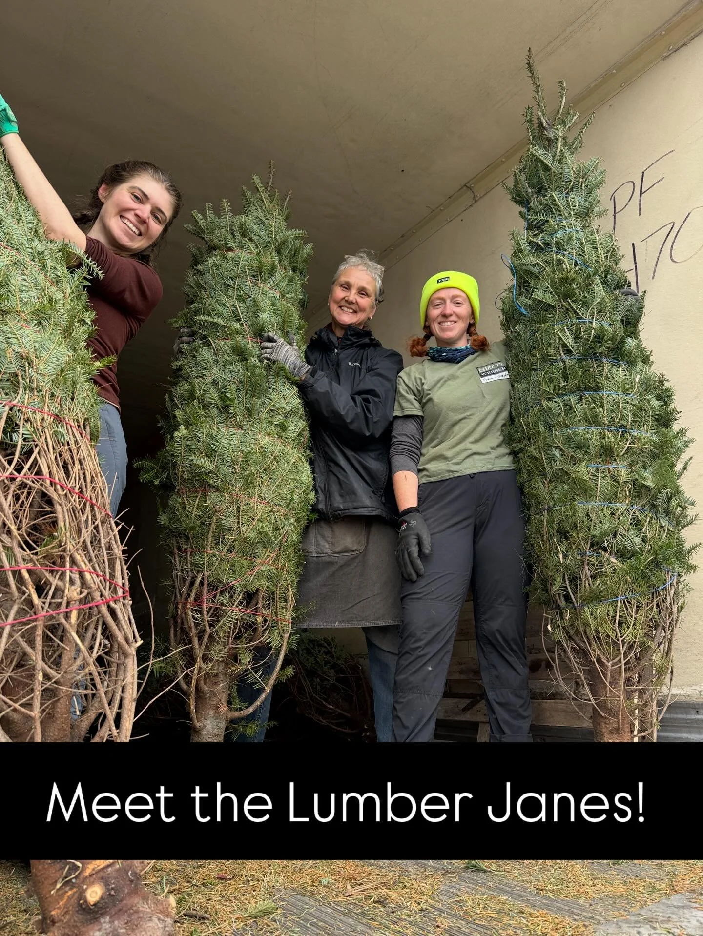 🌲🌲🌲The Lumber Janes have made sure that our yard is stocked with the freshest trees and greens. Stop by this weekend and pick up yours!! And while you&rsquo;re here pop over to @suncatcherbrewing for a hot chocolate or a fresh brew! 
#independentg