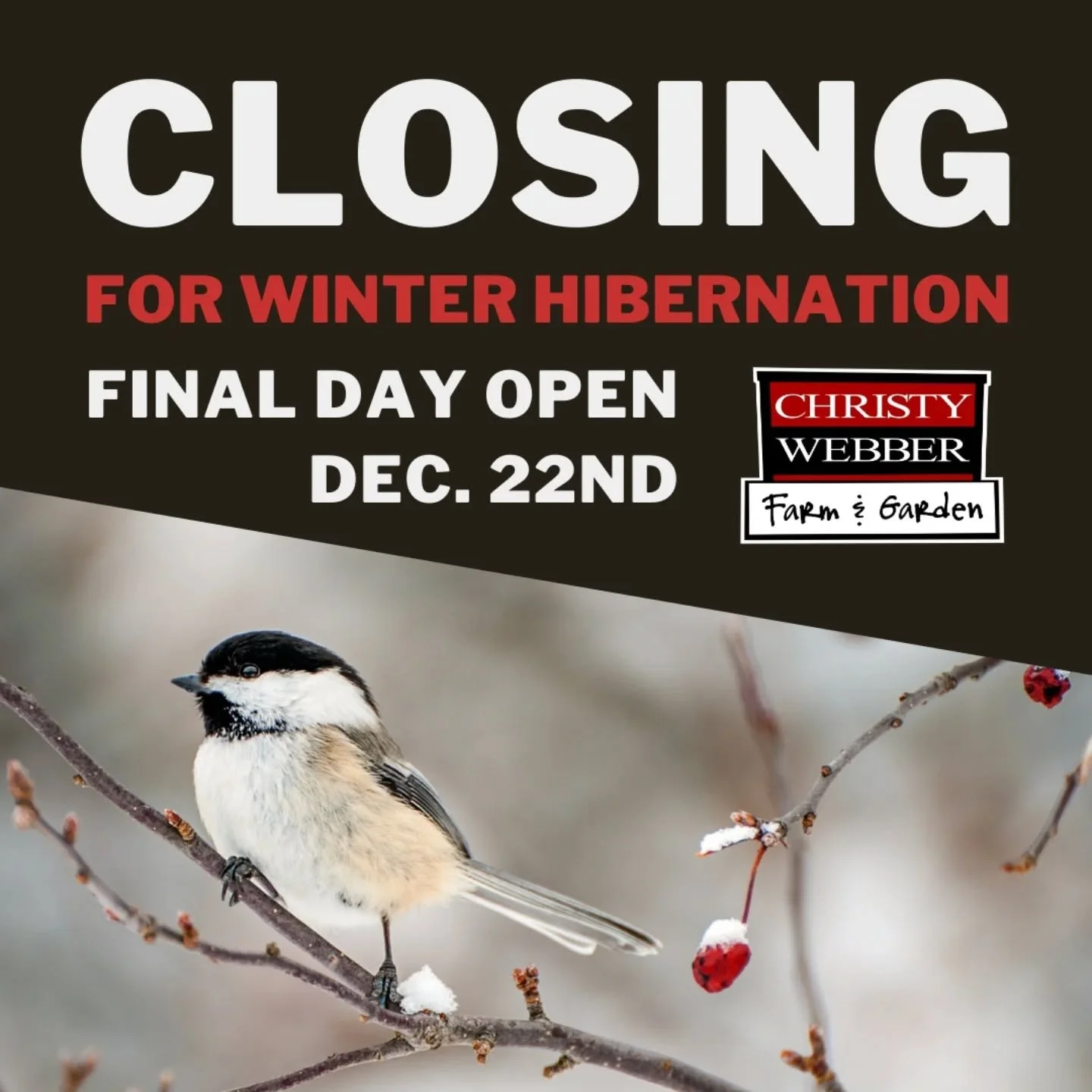 Monday is our final day of the season!  Starting December 23rd, Christy Webber Farm &amp; Garden will begin our annual winter hibernation. We'll be closed for shopping until spring, and will be spending time dreaming, scheming, and implementing valua