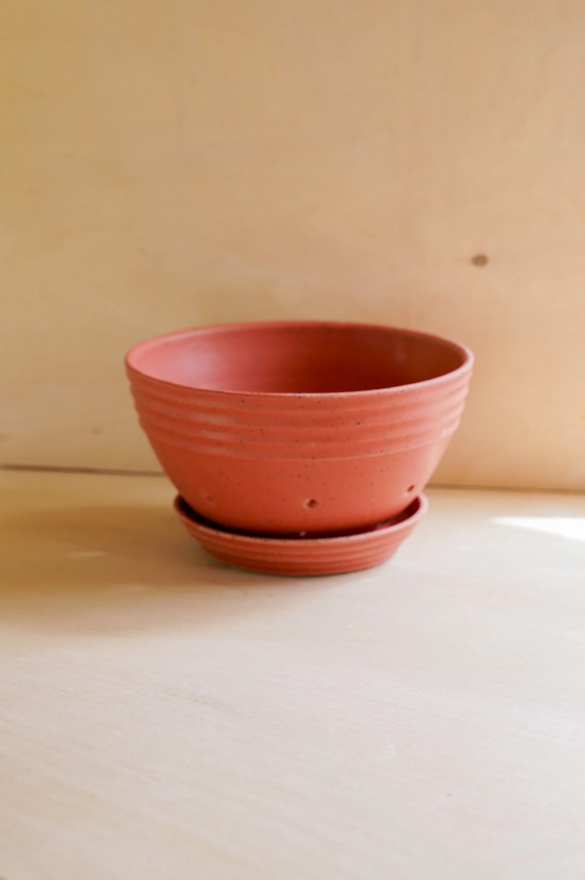 Speckled Red Berry Bowl