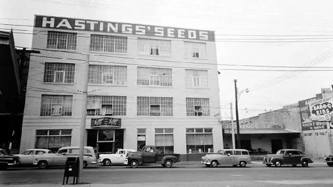 Hastings-Seeds-circa-1955 JPEG.jpg