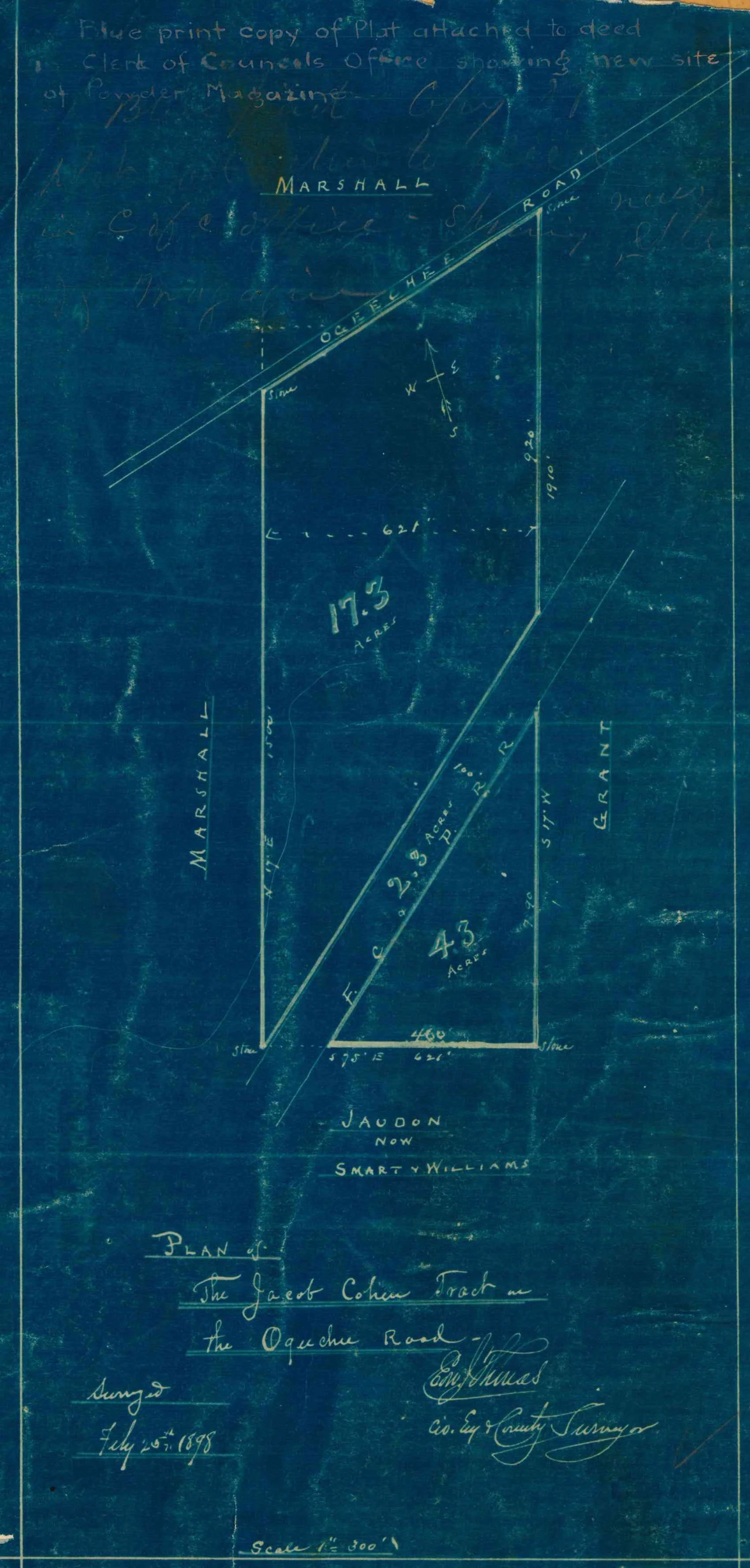 1898_Plan of the Jacob Cohen Tract on Ogeechee Road.jpeg