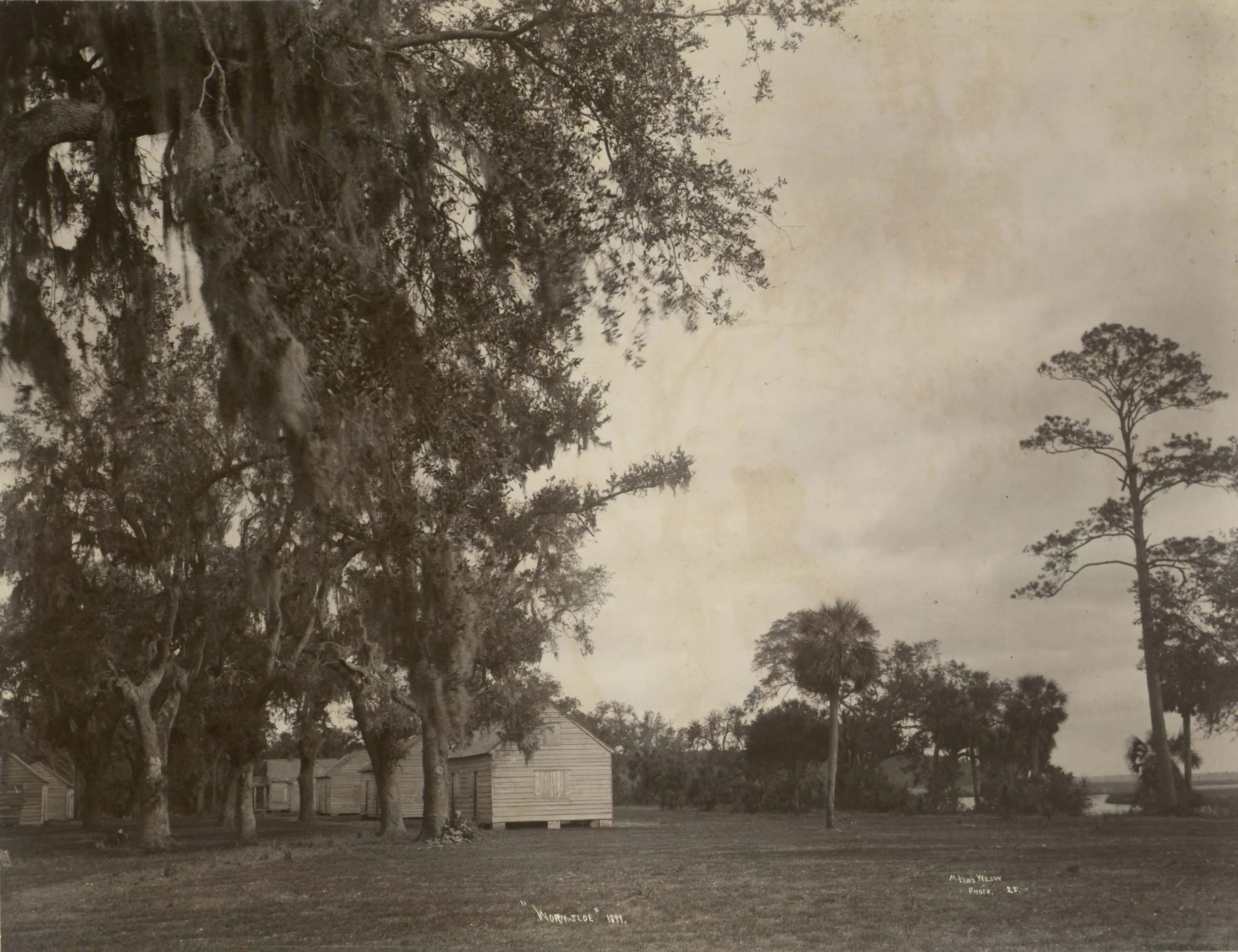 cabins copy.jpg