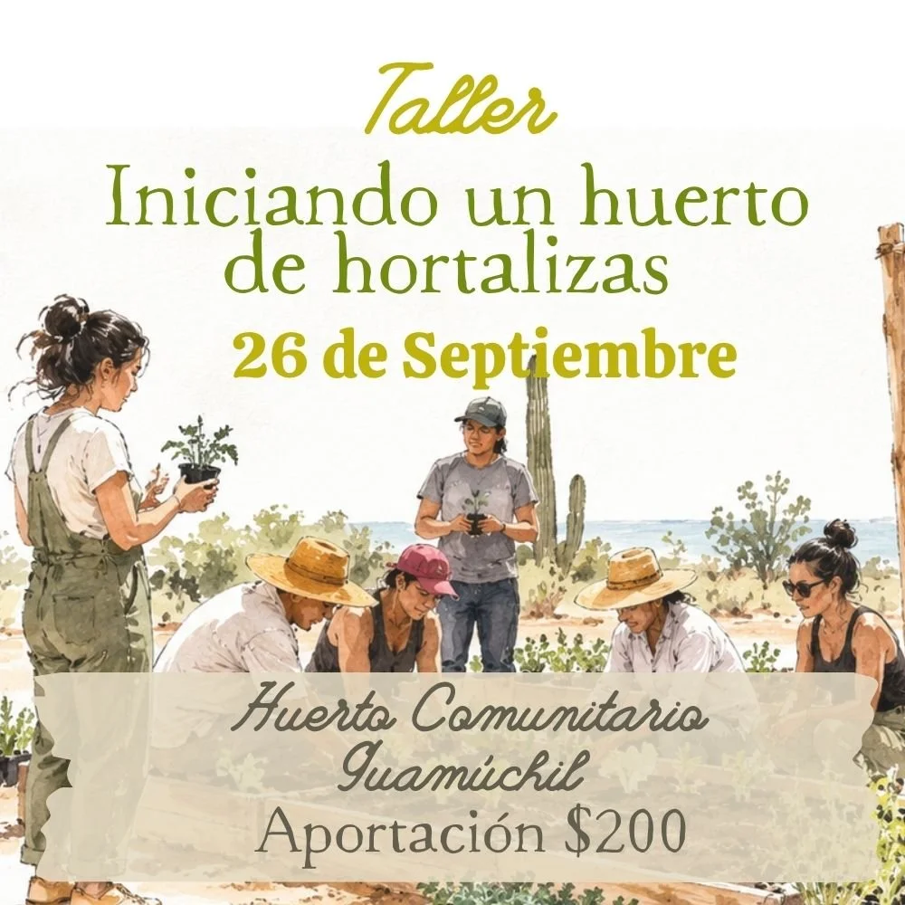 Taller Iniciando un huerto de hortalizas 