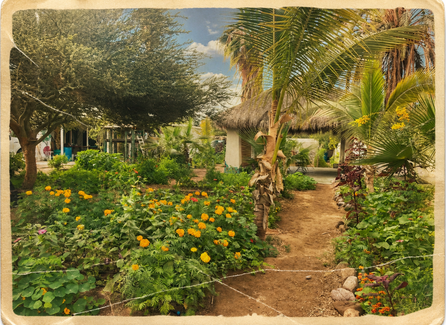 Un jardín tropical con flores amarillas y verdes, árboles de palma, un sendero de tierra y una cabaña con techo de paja en el fondo.