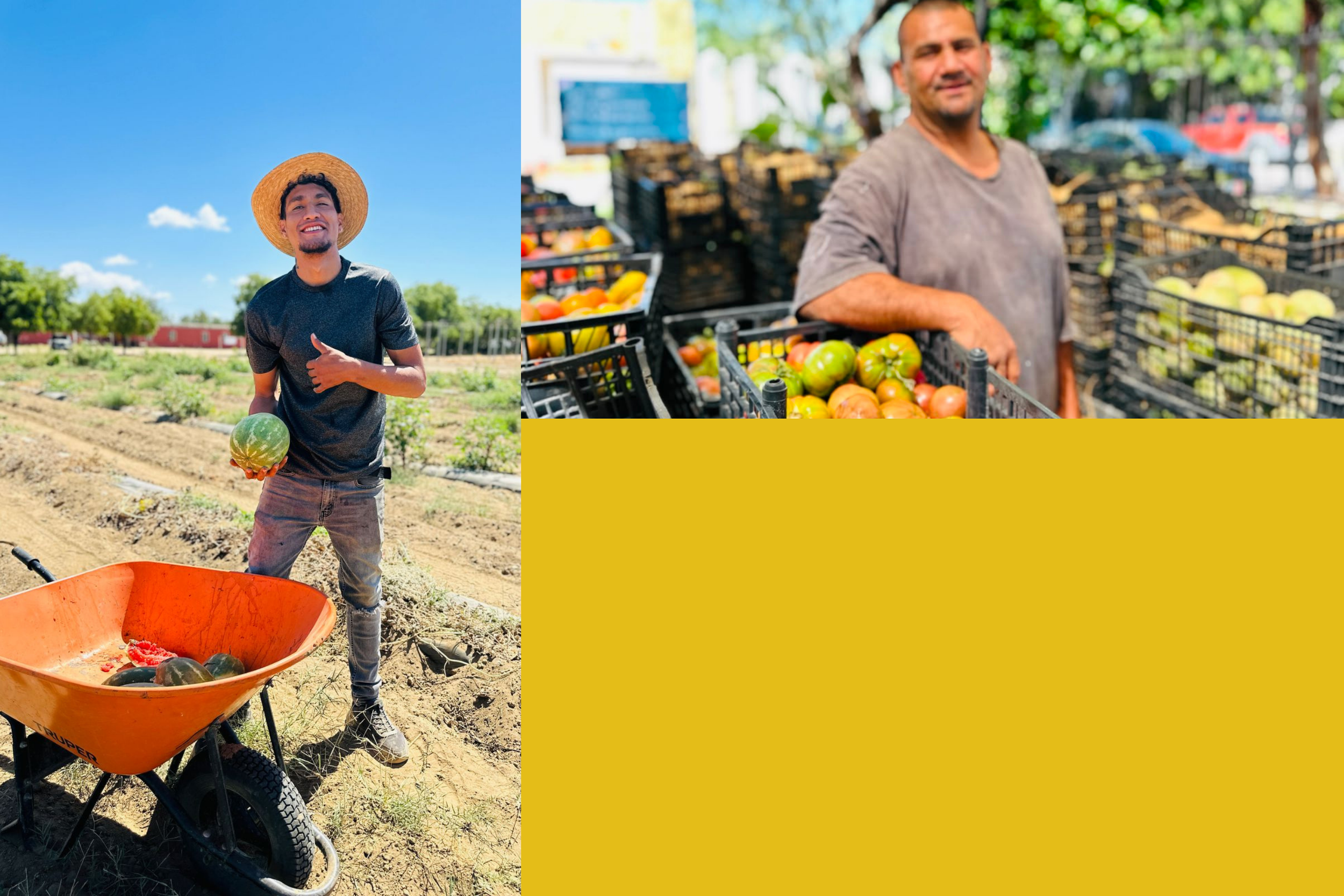Joven en un campo agrícola con sombrero de paja, sosteniendo una calabaza, junto a un carrito de mano con calabazas. Hombre en un puesto de frutas y verduras con cestas de jitomates, en un entorno urbano con árboles y autos.