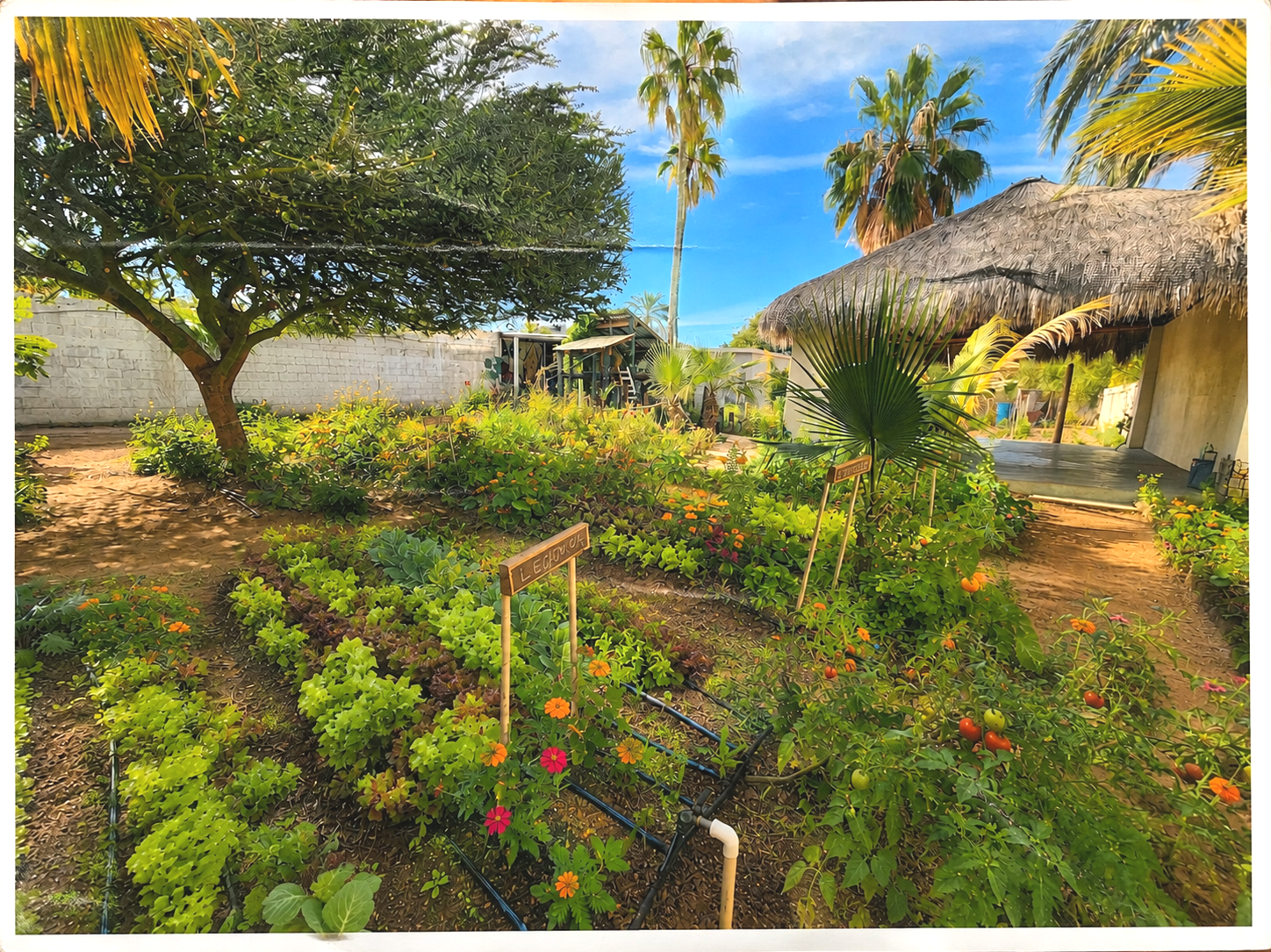 Huerto con plantas y flores, árboles tropicales, área techada, fondo con cielo azul y nubes, cercado por muro de ladrillo, ambiente soleado y clima cálido.