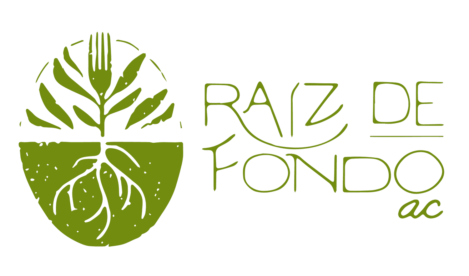 Raíz de Fondo