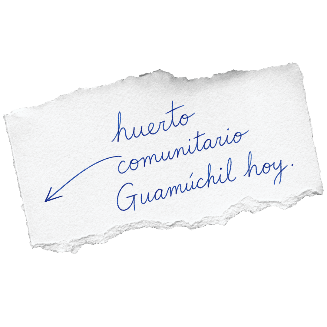 Nota en papel rasgado con escritura en tinta azul que dice "huerto comunitario Guamúchil hoy" y una flecha apuntando a la palabra "huerto".