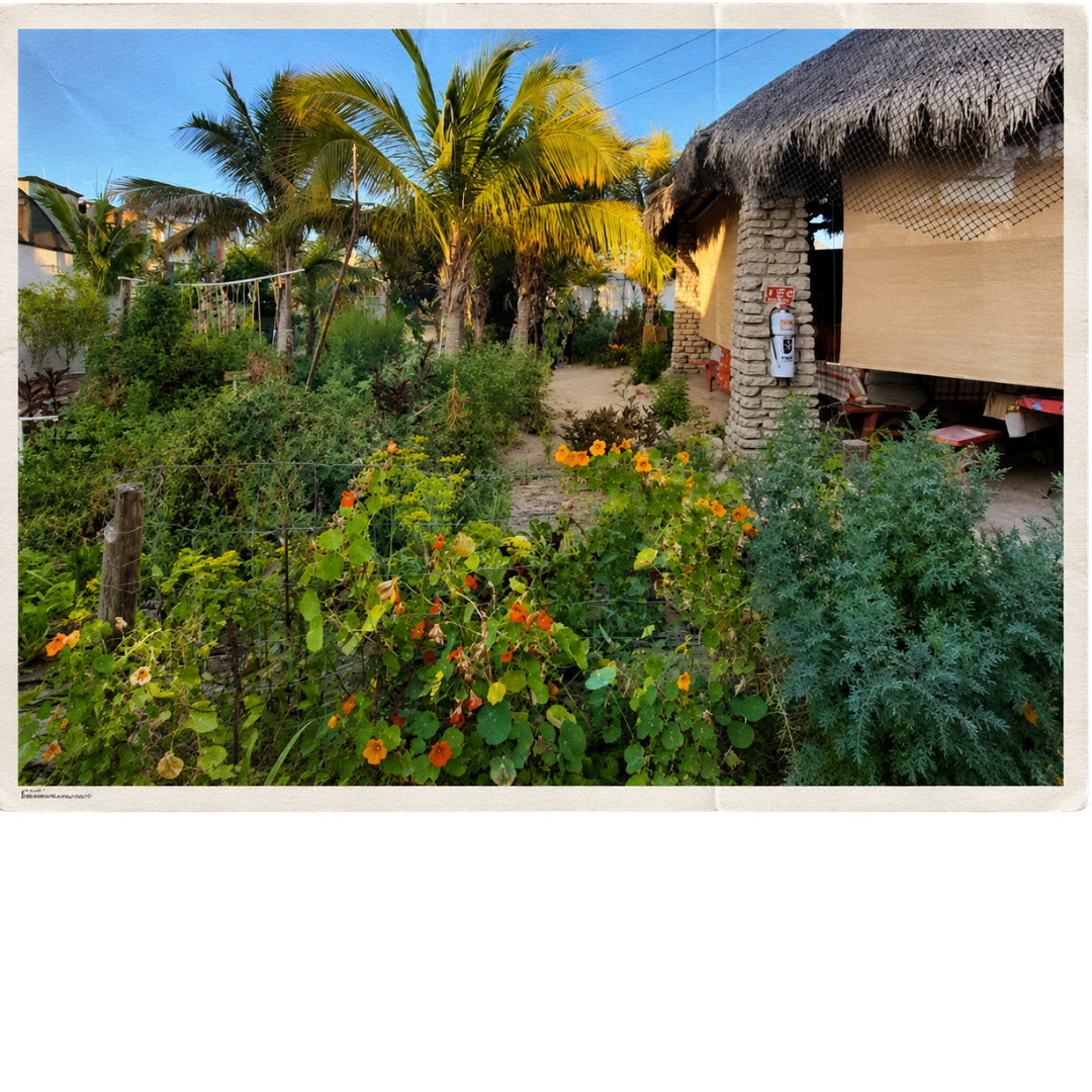 Jardín con plantas y flores, cabaña con techo de paja y un árbol de palmeras en un entorno tropical, en la tarde.