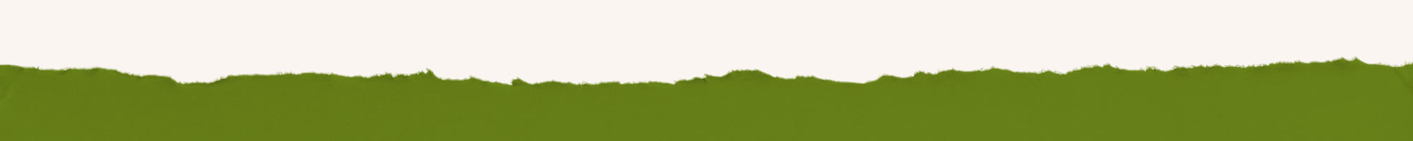 Fondo con borde de papel rasgado en color verde y blanco.