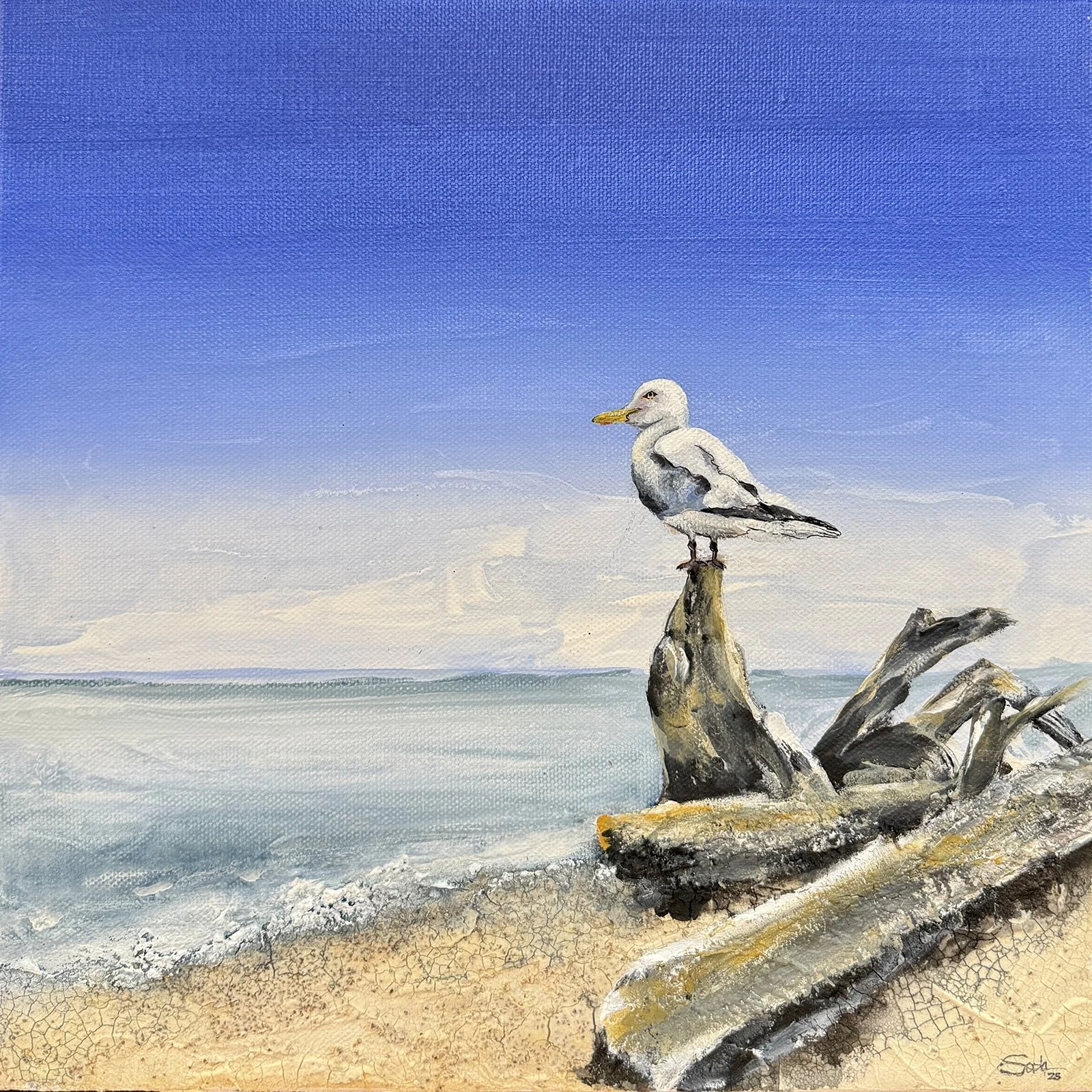 Pancake Bay 12x12.jpg