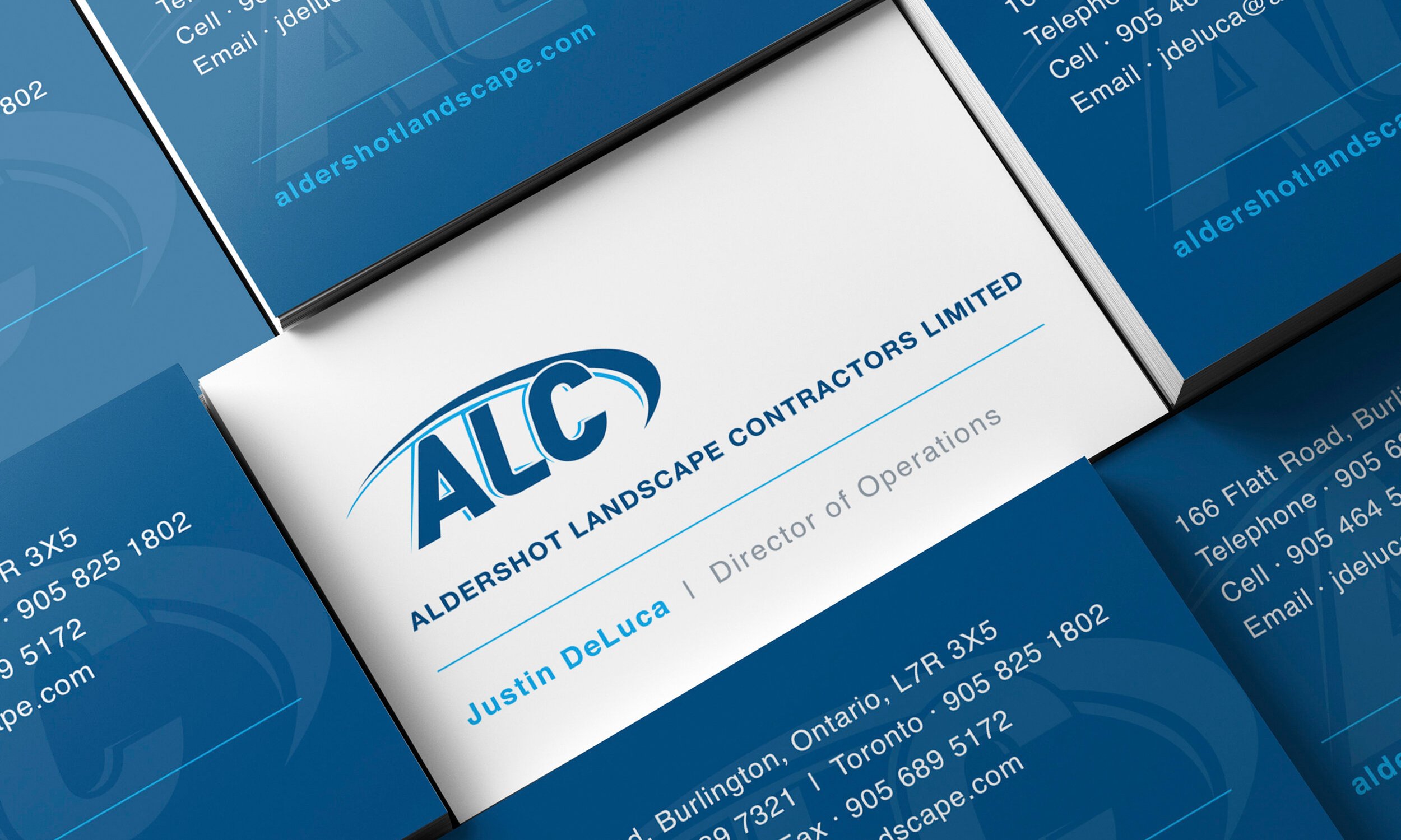 ALC_01-e.jpg