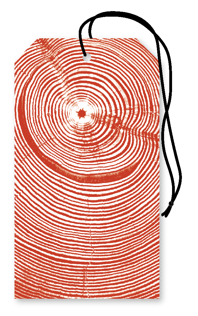 Artboard 19.png