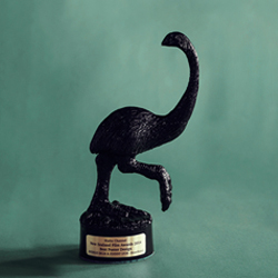 NZ Film Award (Copy)