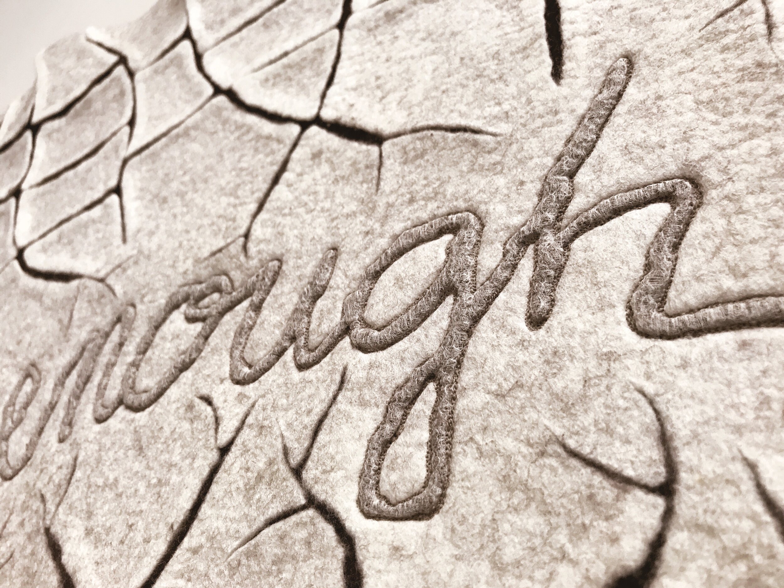 EvaCamacho_Enough_detail.jpg