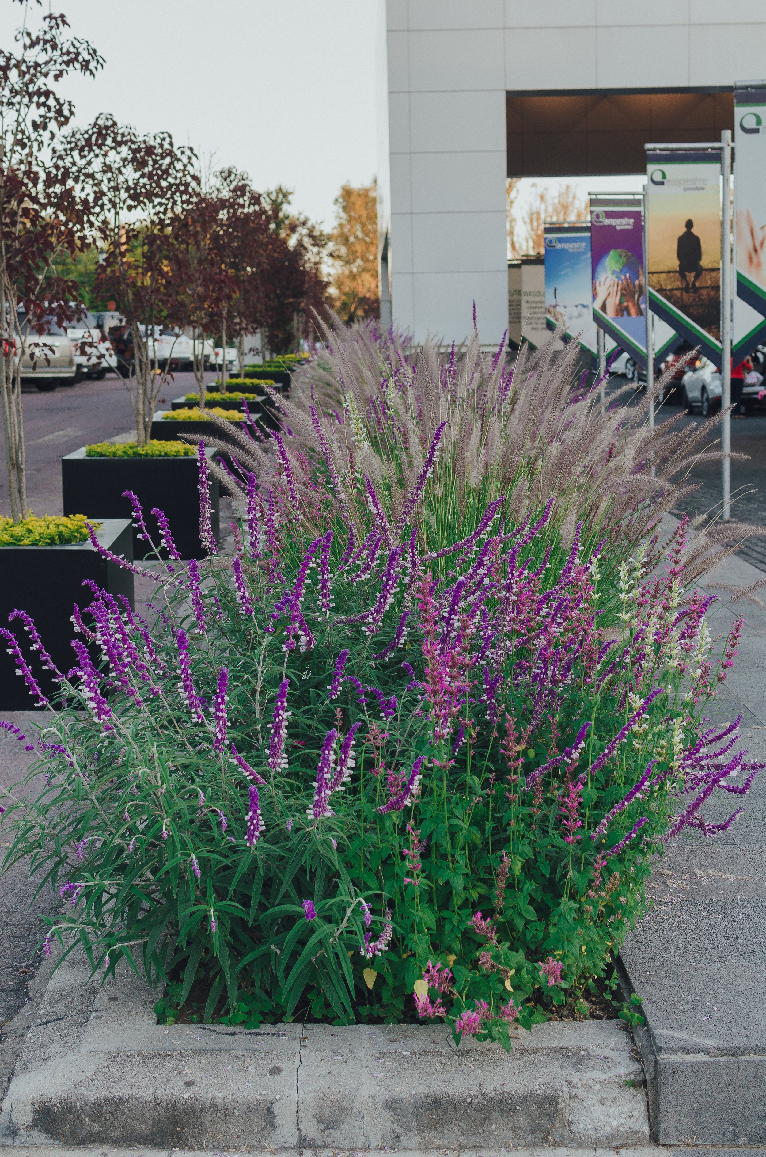 DSC_5765.jpg