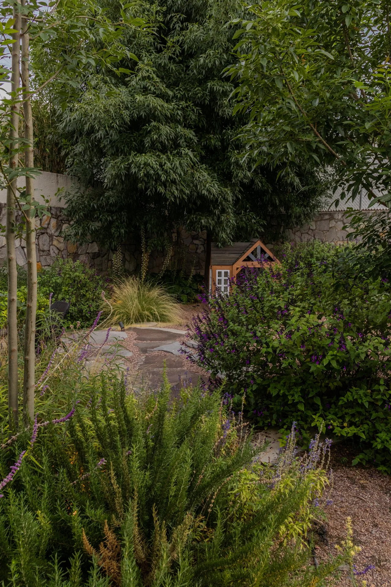 BOTANICA PAISAJE (9).jpg