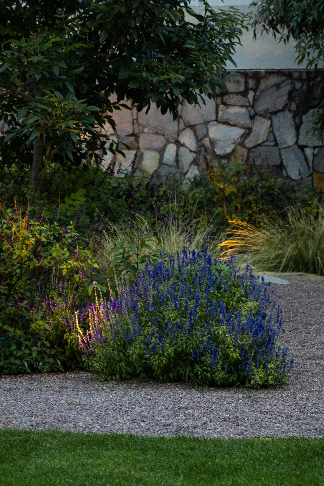 BOTANICA PAISAJE (19).jpg