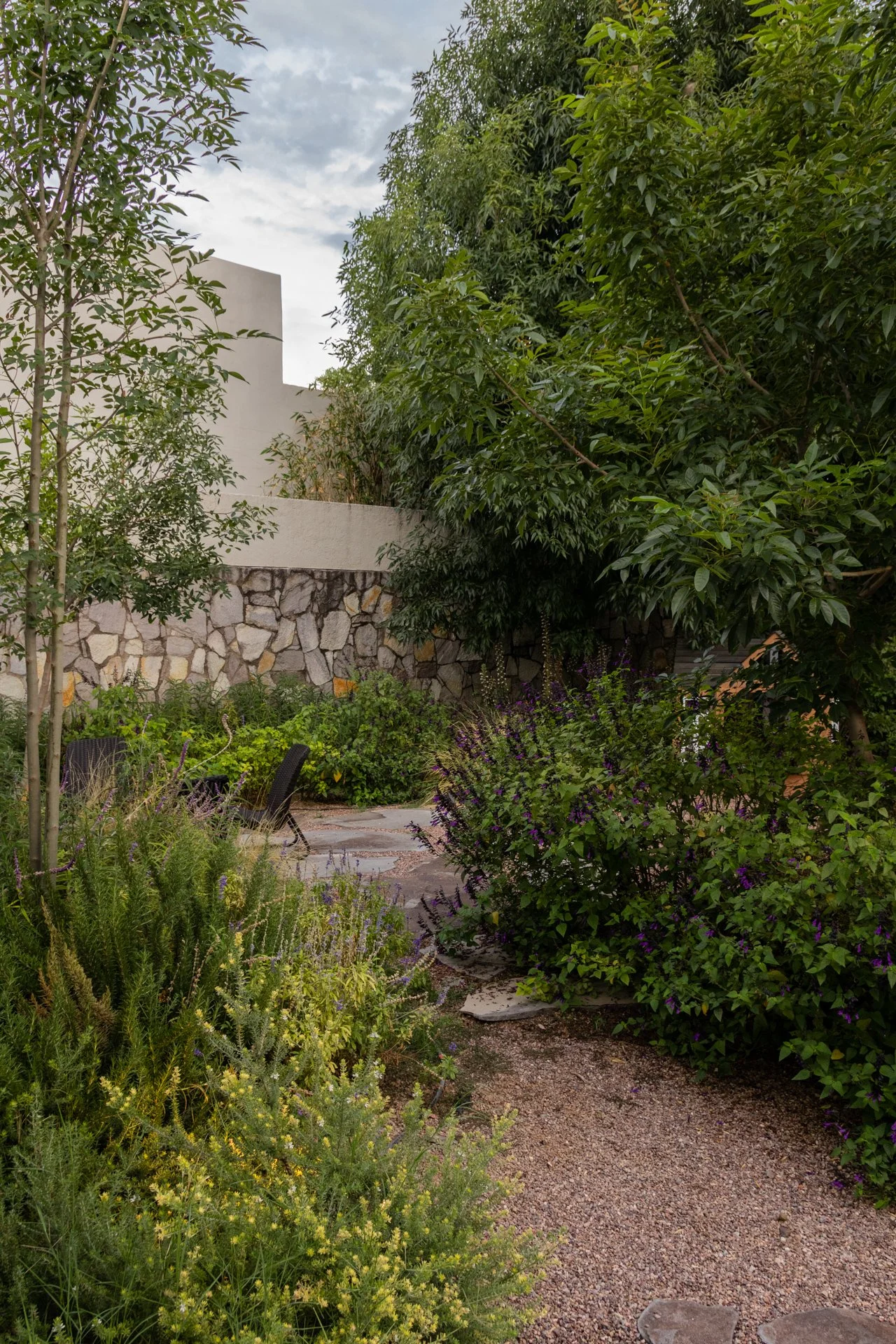 BOTANICA PAISAJE (7).jpg