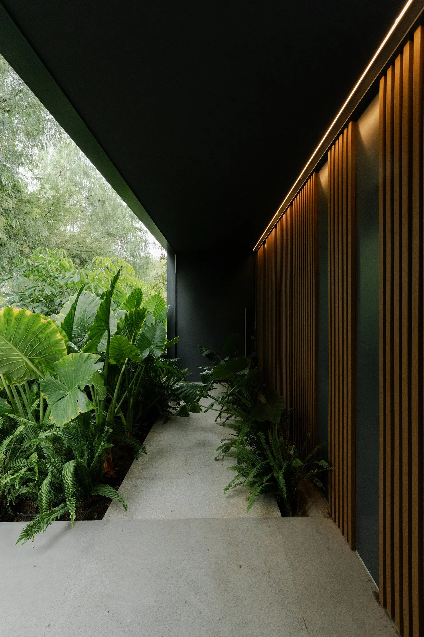 071224_RondaFresnos_GiselleBotanica-5 copy.JPG