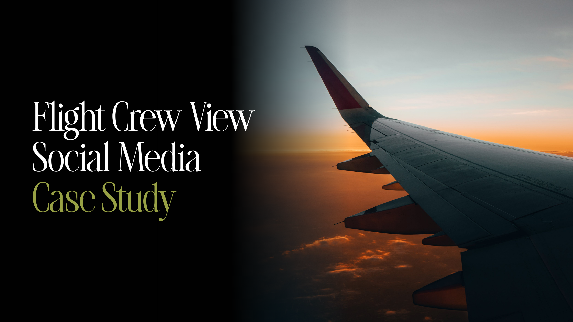 How Flight Crew View Built a Cross-Platform Community Around a Niche App