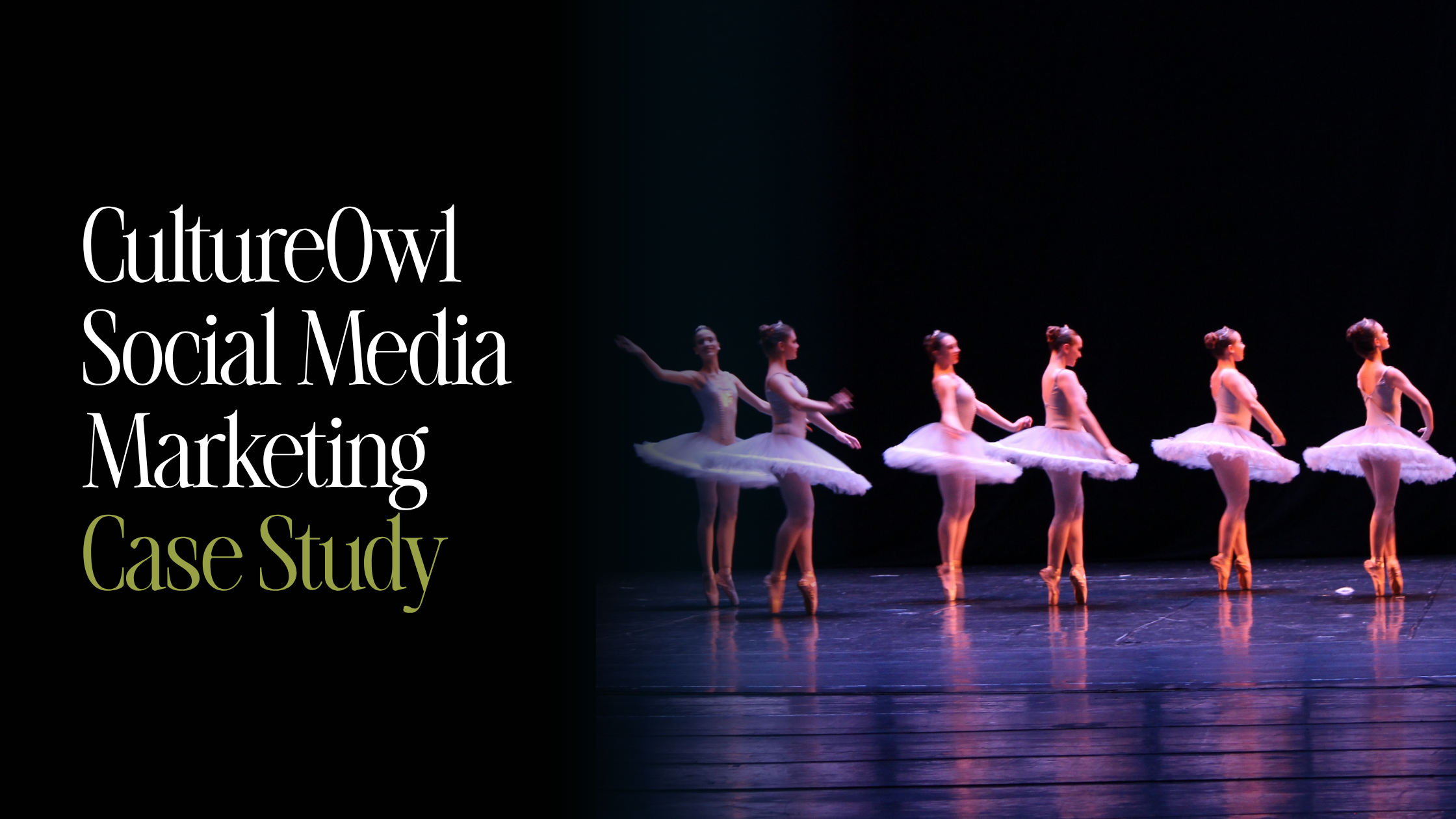 How CultureOwl Scaled Multiple Local Audiences With a Data-Led Social Strategy