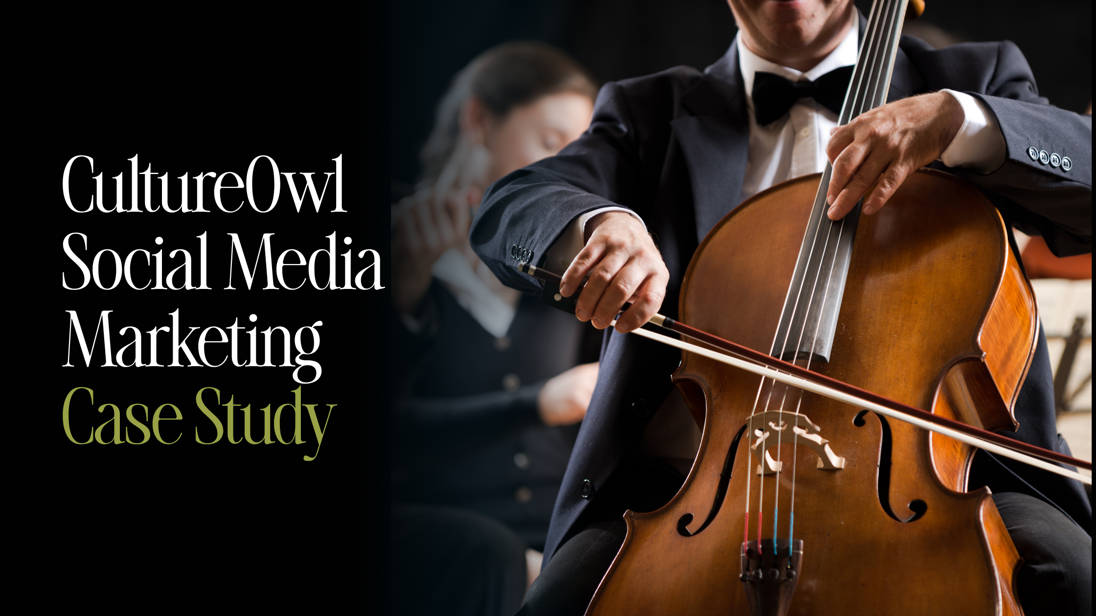 How CultureOwl Scaled Multiple Local Audiences With a Data-Led Social Strategy