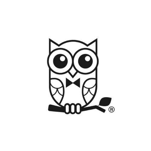 cultureowl (1).png