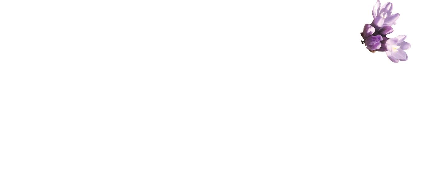 Red Rock Views Website