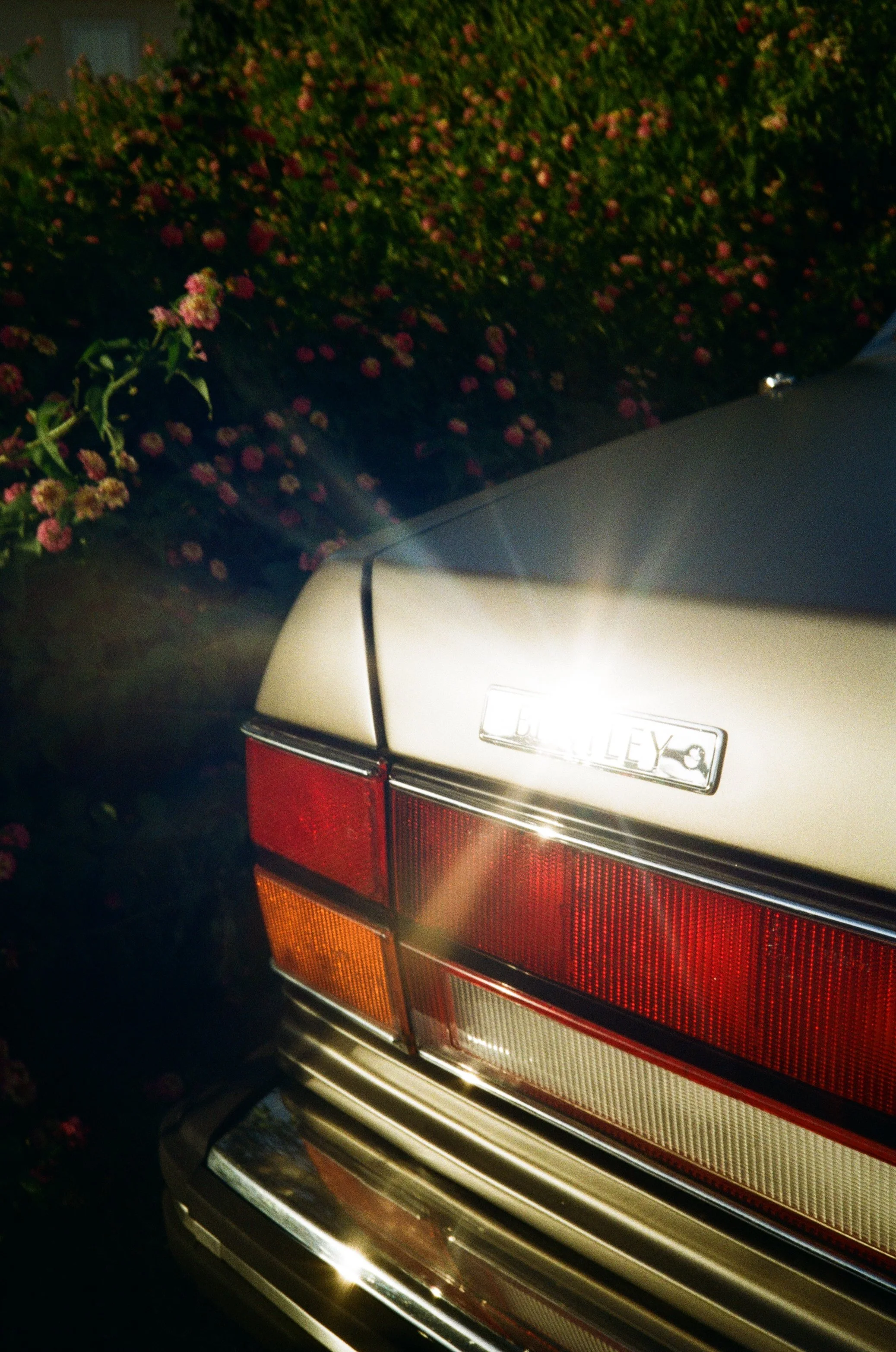 The rear part of a classic silver Mercedes-Benz car parked next to a flower bush with pink flowers, taken at night.