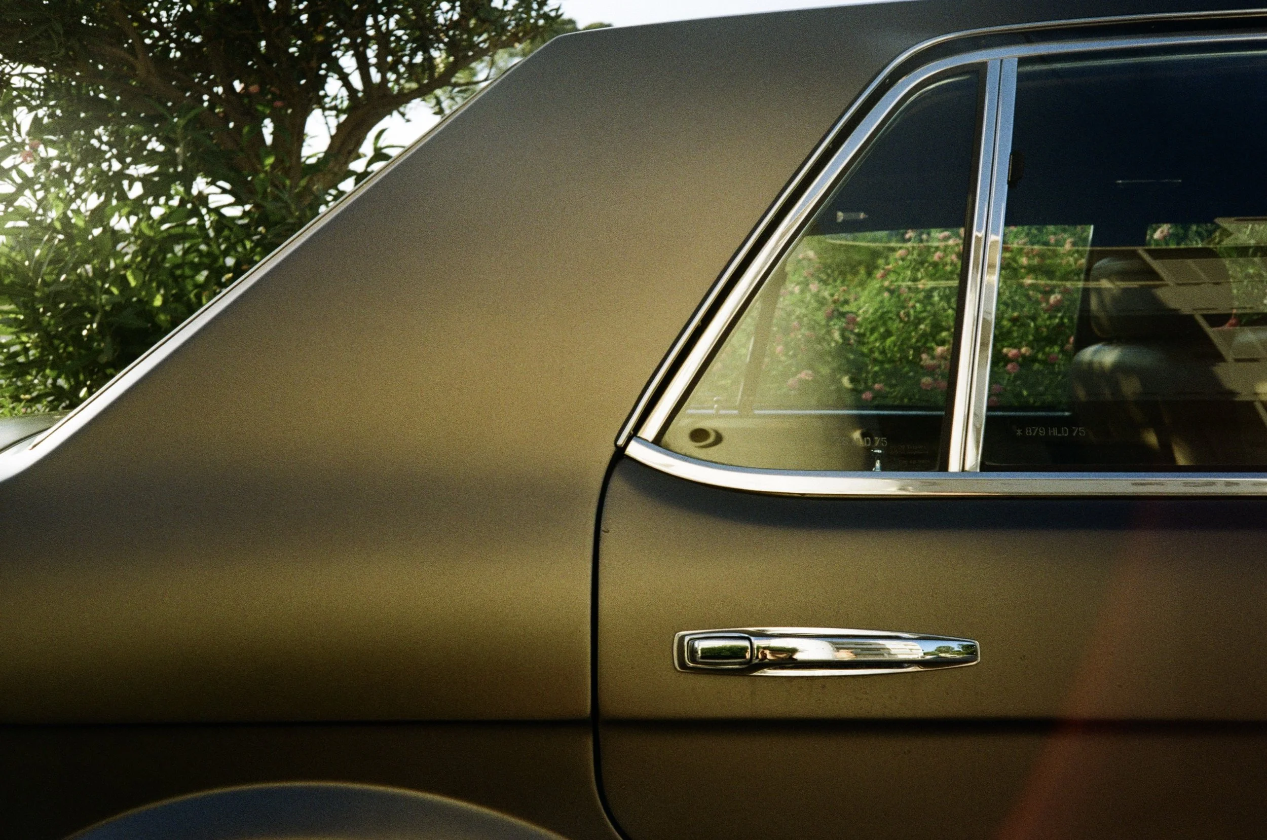 Close-up of a vintage car's side with the door handle and window, with a background of green bushes and pink flowers.