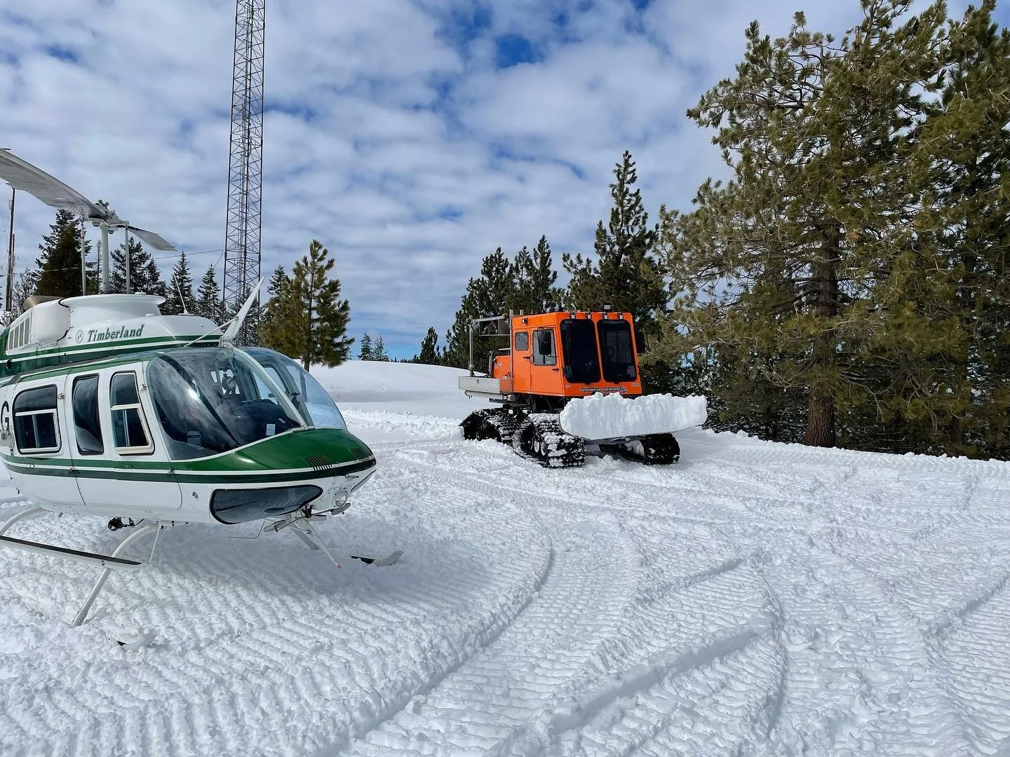 Deep snow in Northern California #pacificpower #snowlandings #tuckersnocat