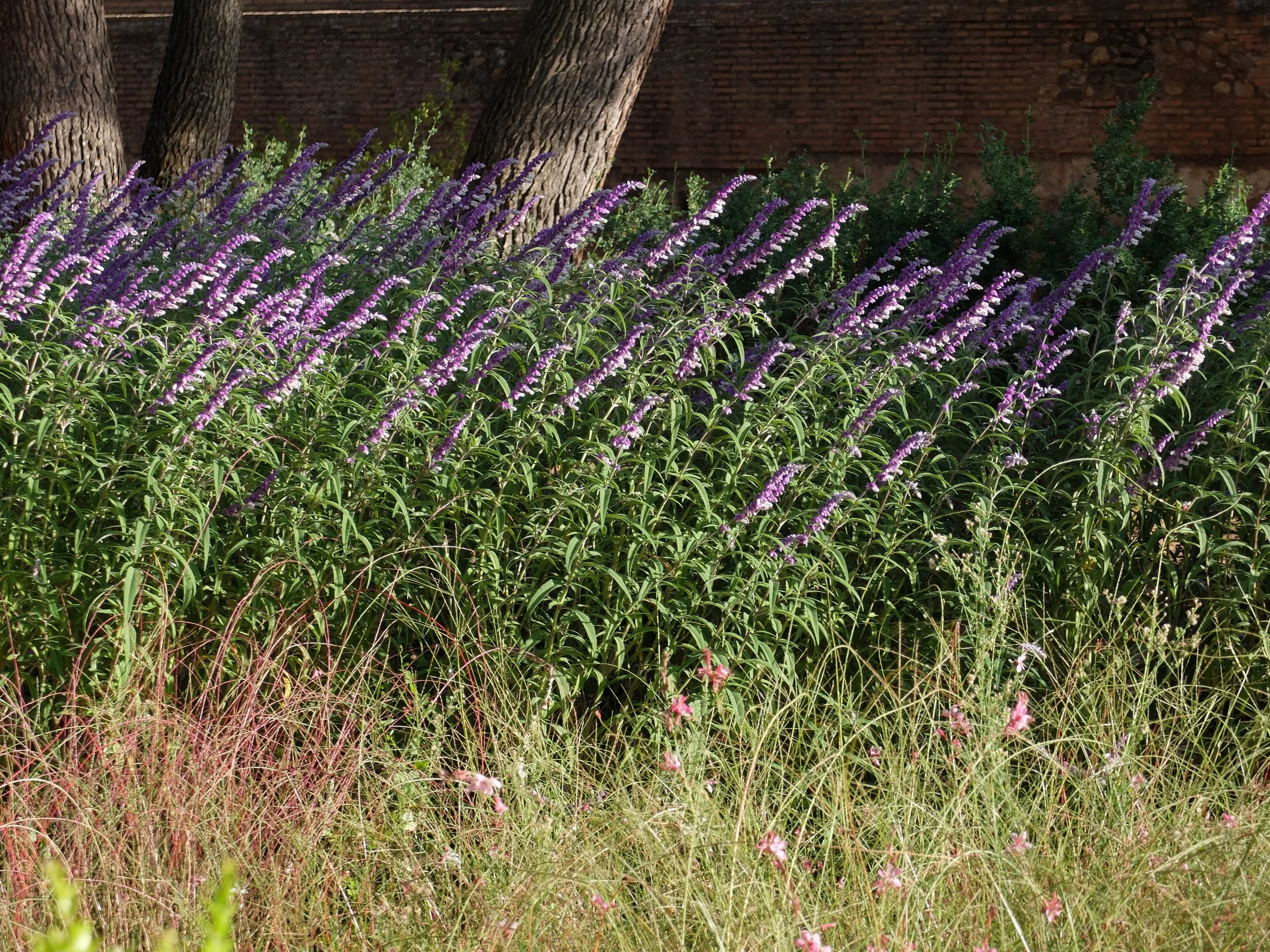 Spain 102022 824.JPG