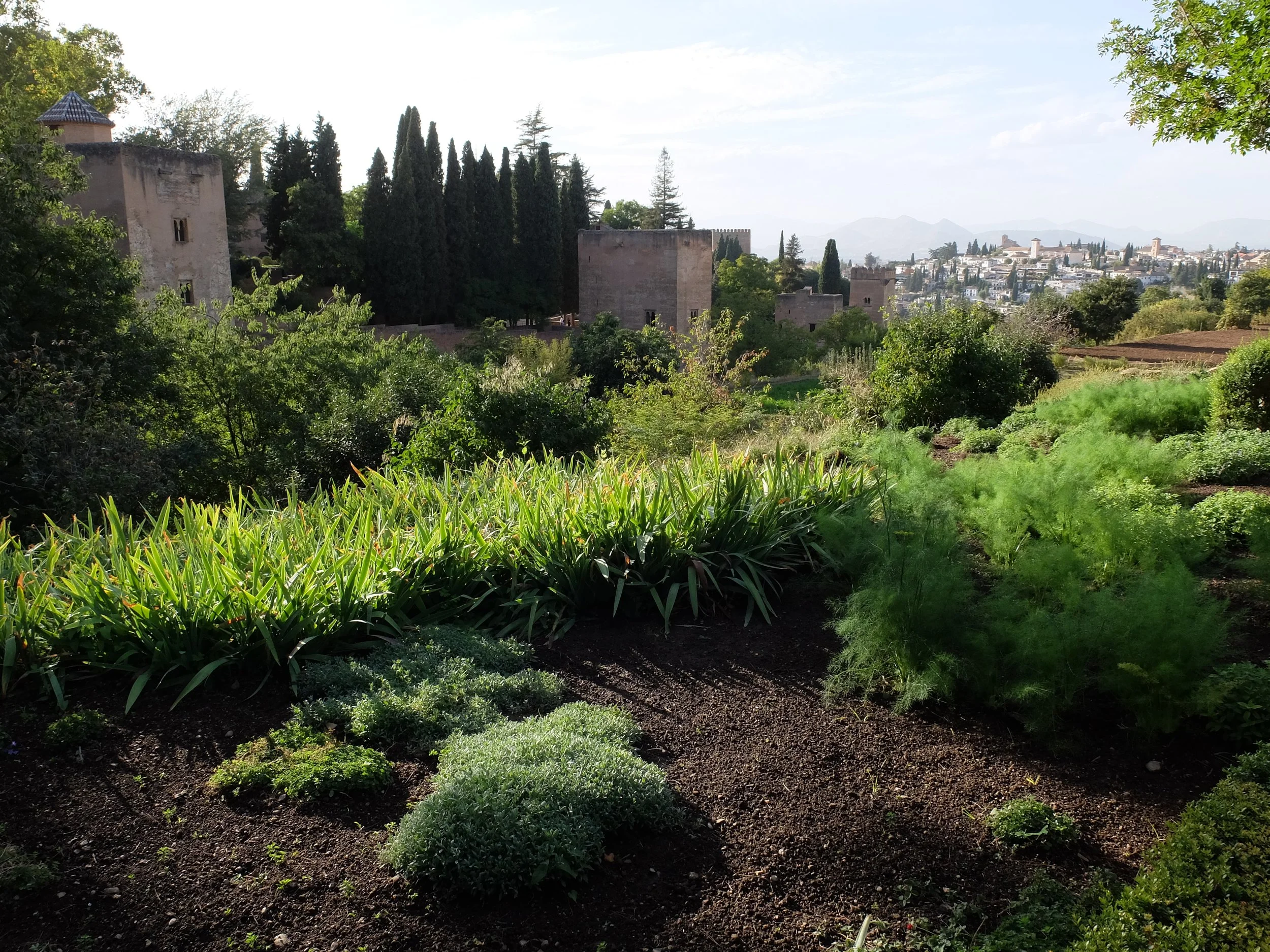 Spain 102022 839.JPG