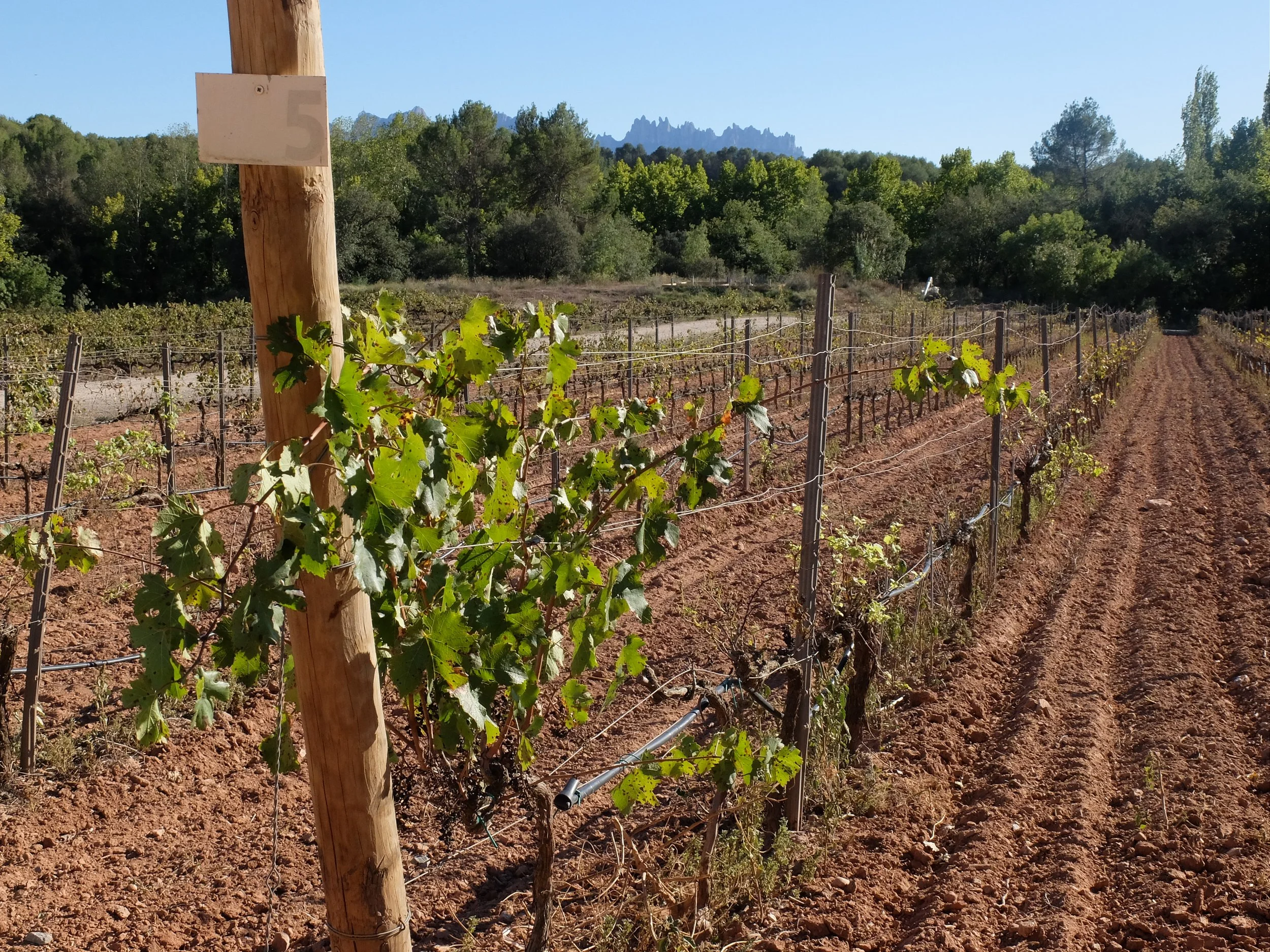 Spain 102022 485.JPG