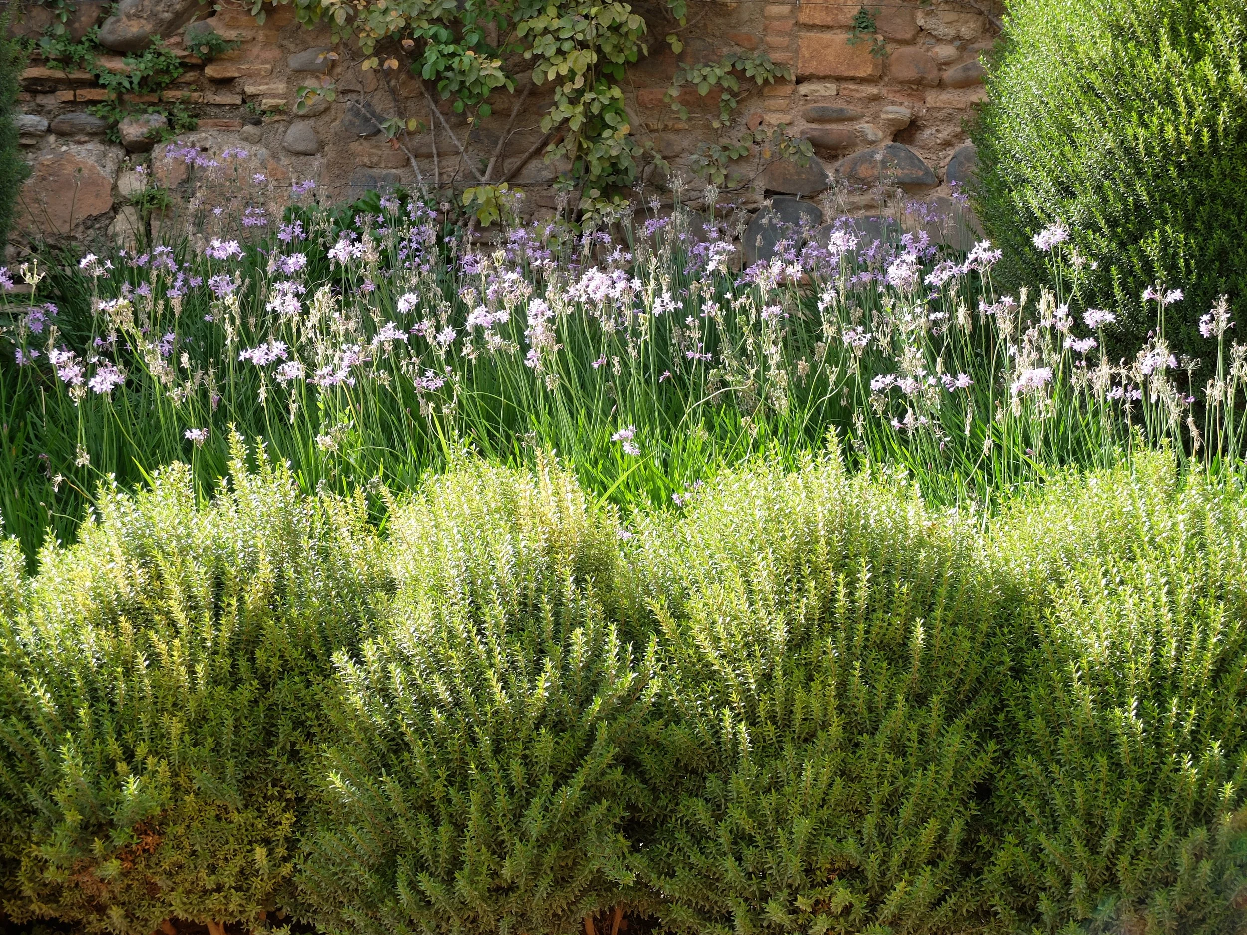 Spain 102022 719.JPG