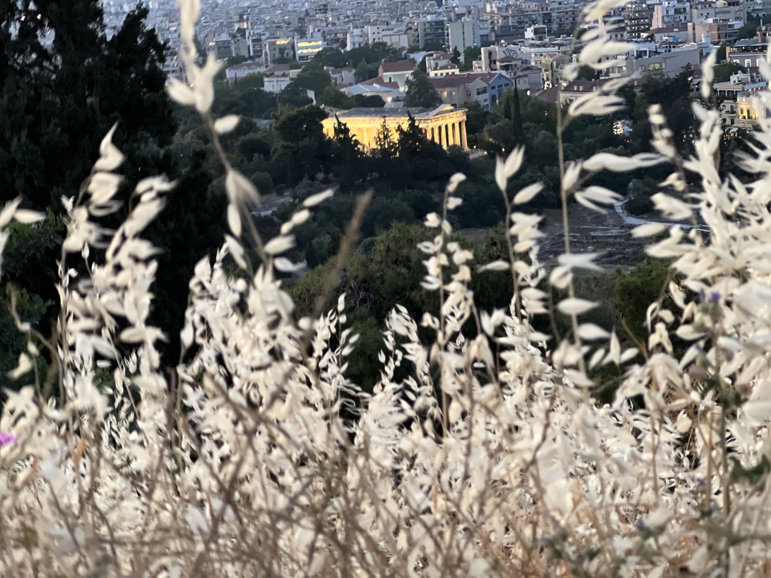 IMG_5616.jpeg